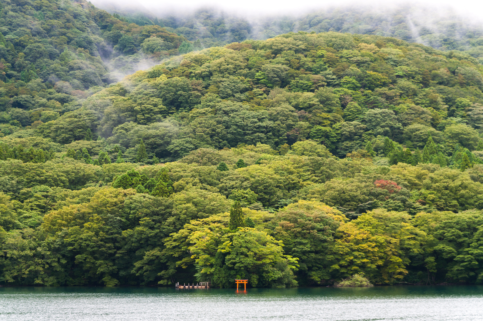 Nikon D5000 sample photo. Torii photography