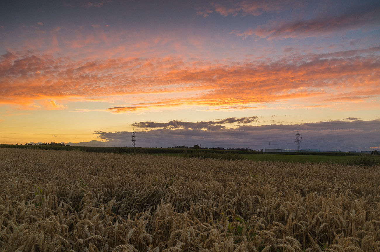 Sony SLT-A57 sample photo. Memories photography