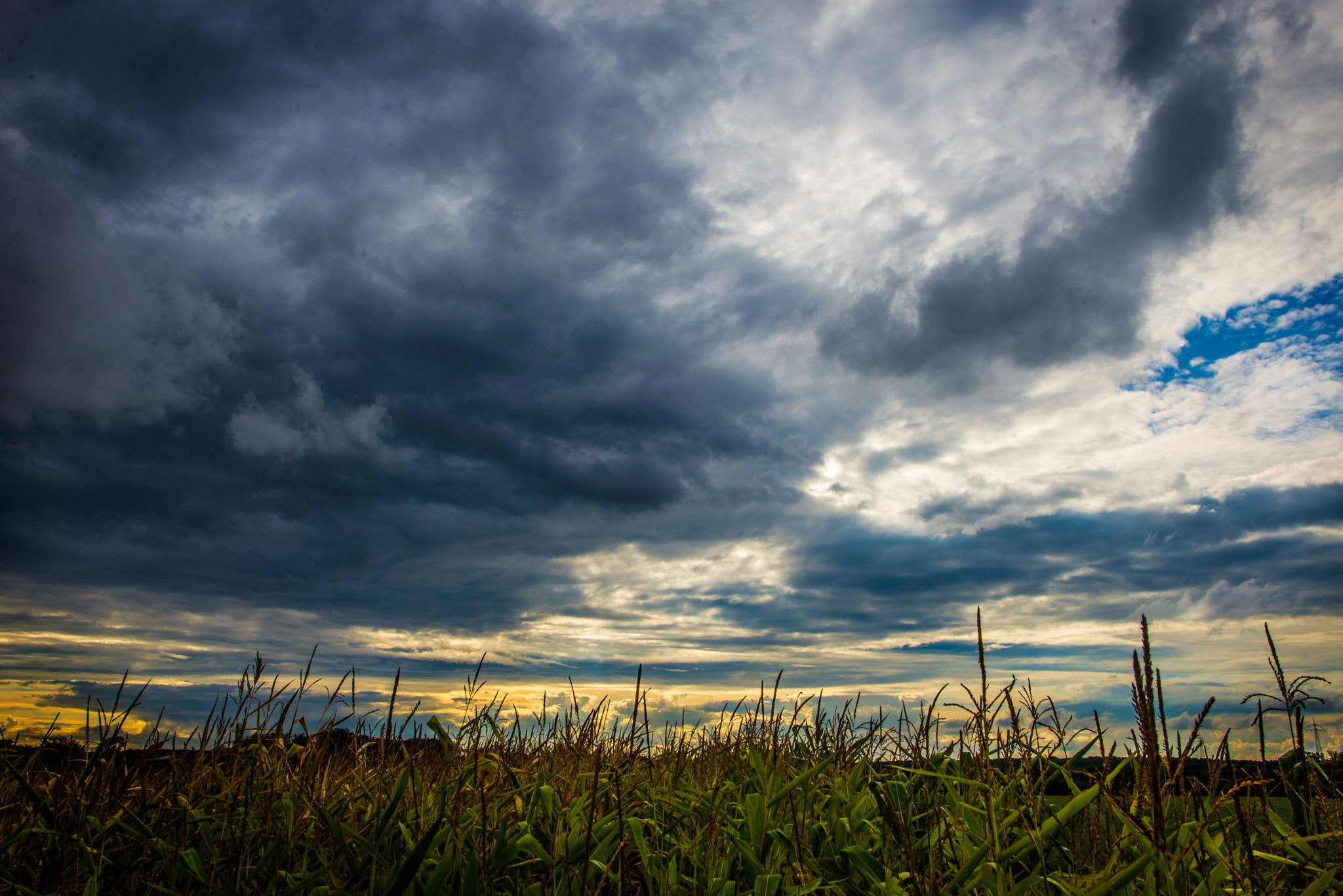 Nikon D600 + Sigma 28mm F1.8 EX DG Aspherical Macro sample photo. Evening mood photography