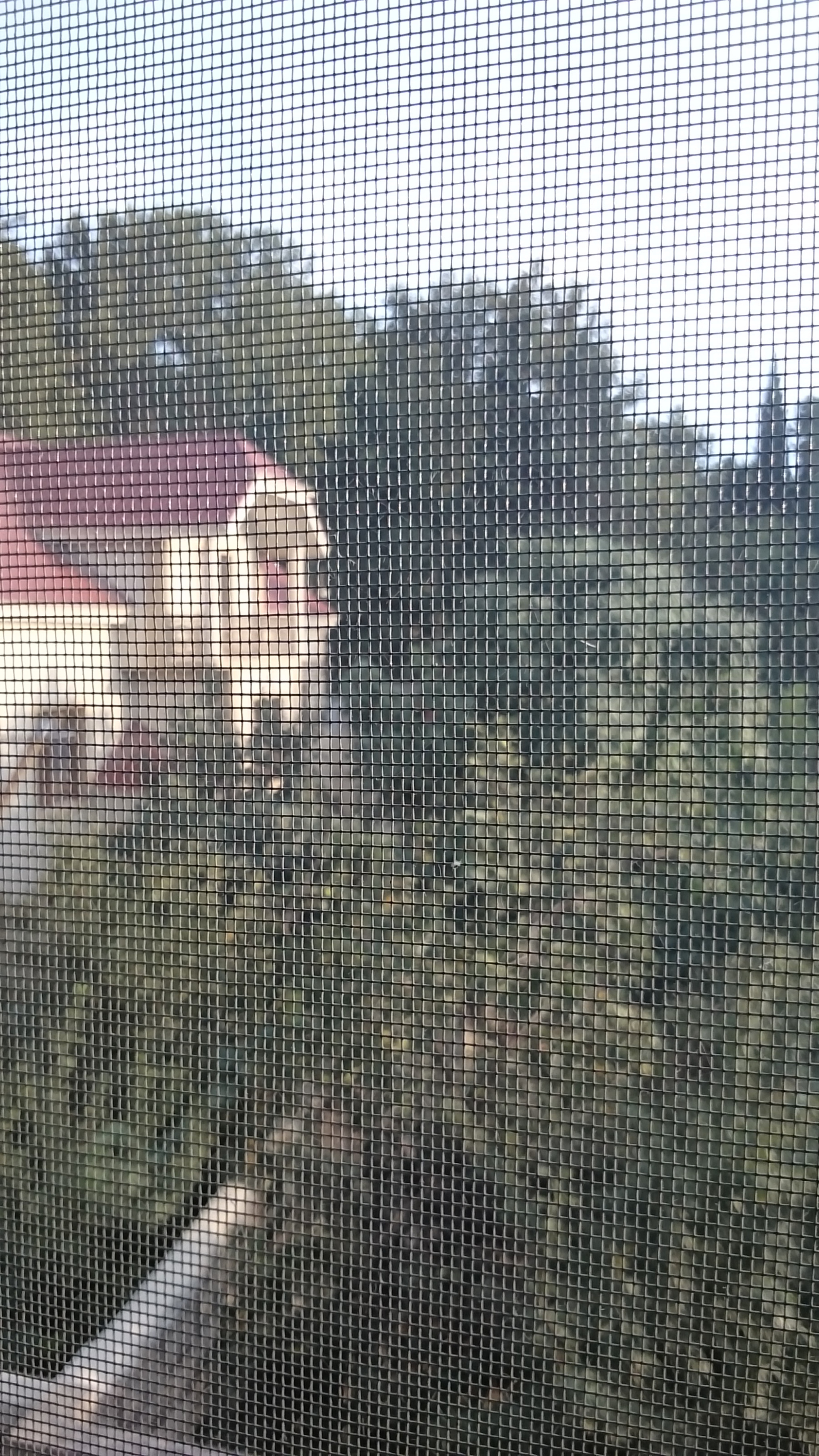 Sony Xperia Z Ultra sample photo