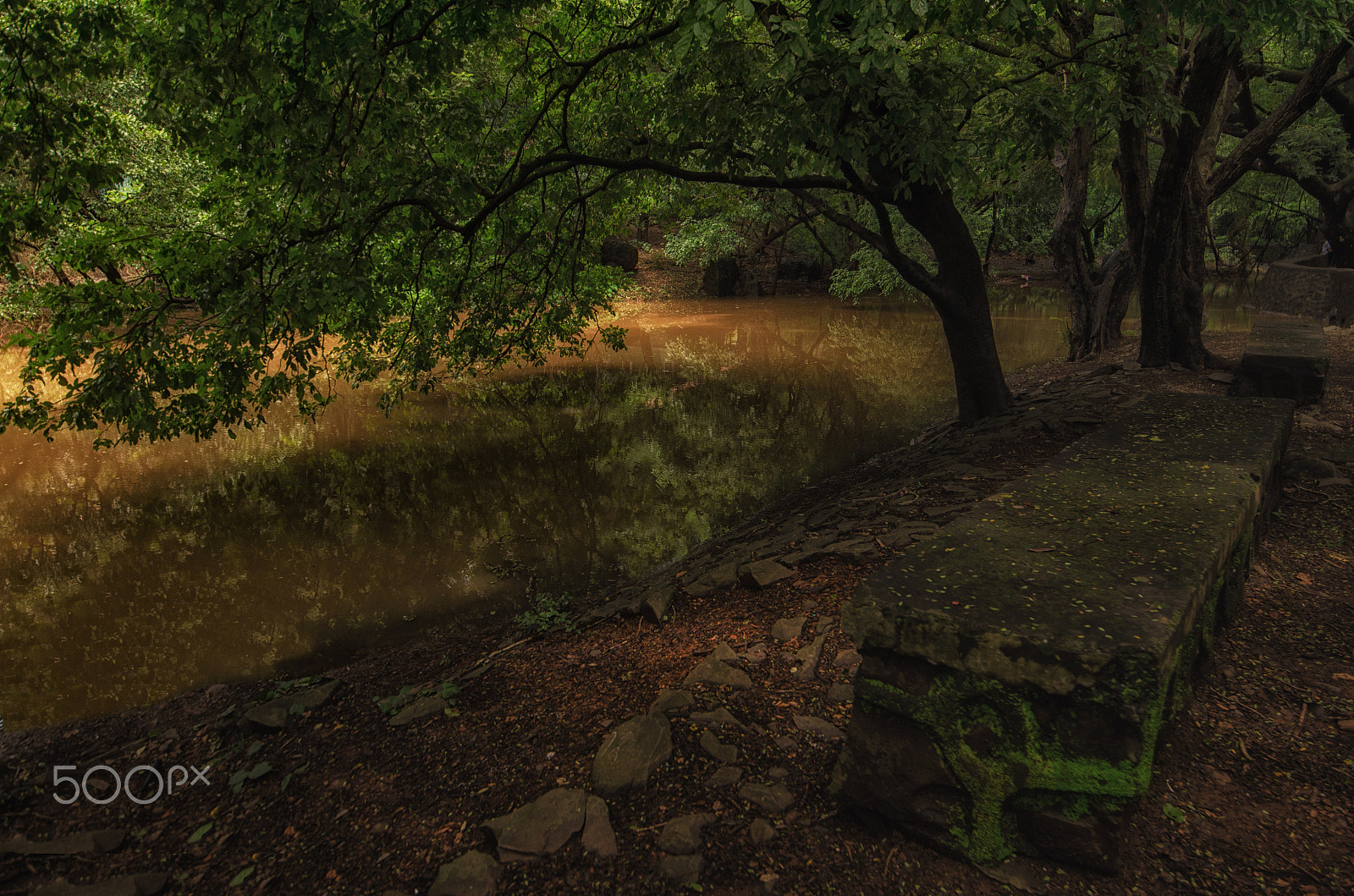 Tamron SP 15-30mm F2.8 Di VC USD sample photo. Serene and silent photography