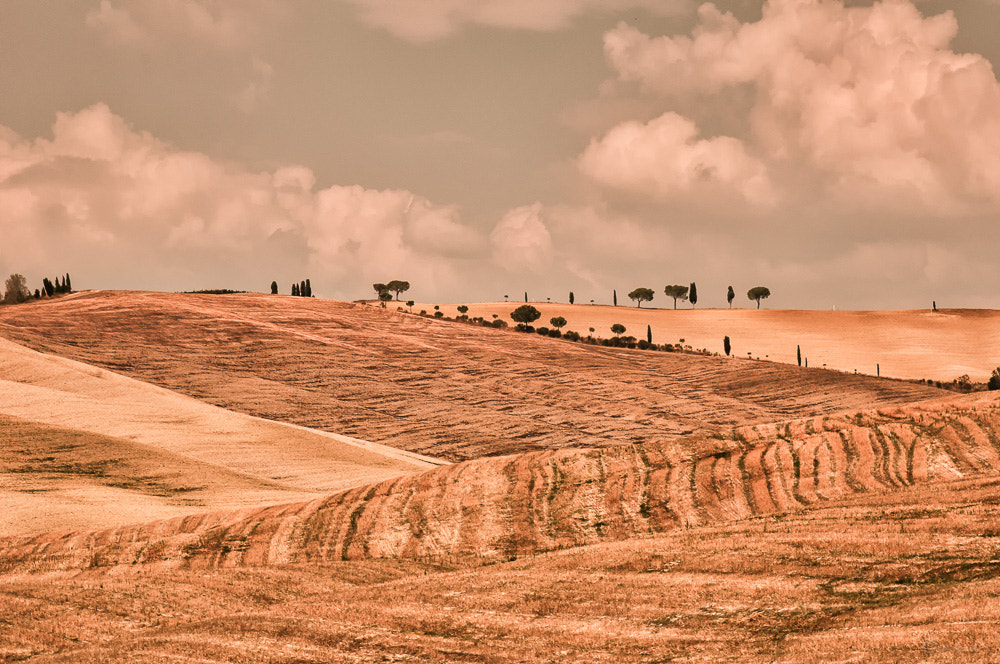 Nikon AF-S Nikkor 24-120mm F4G ED VR sample photo. Val d’orcia2 photography