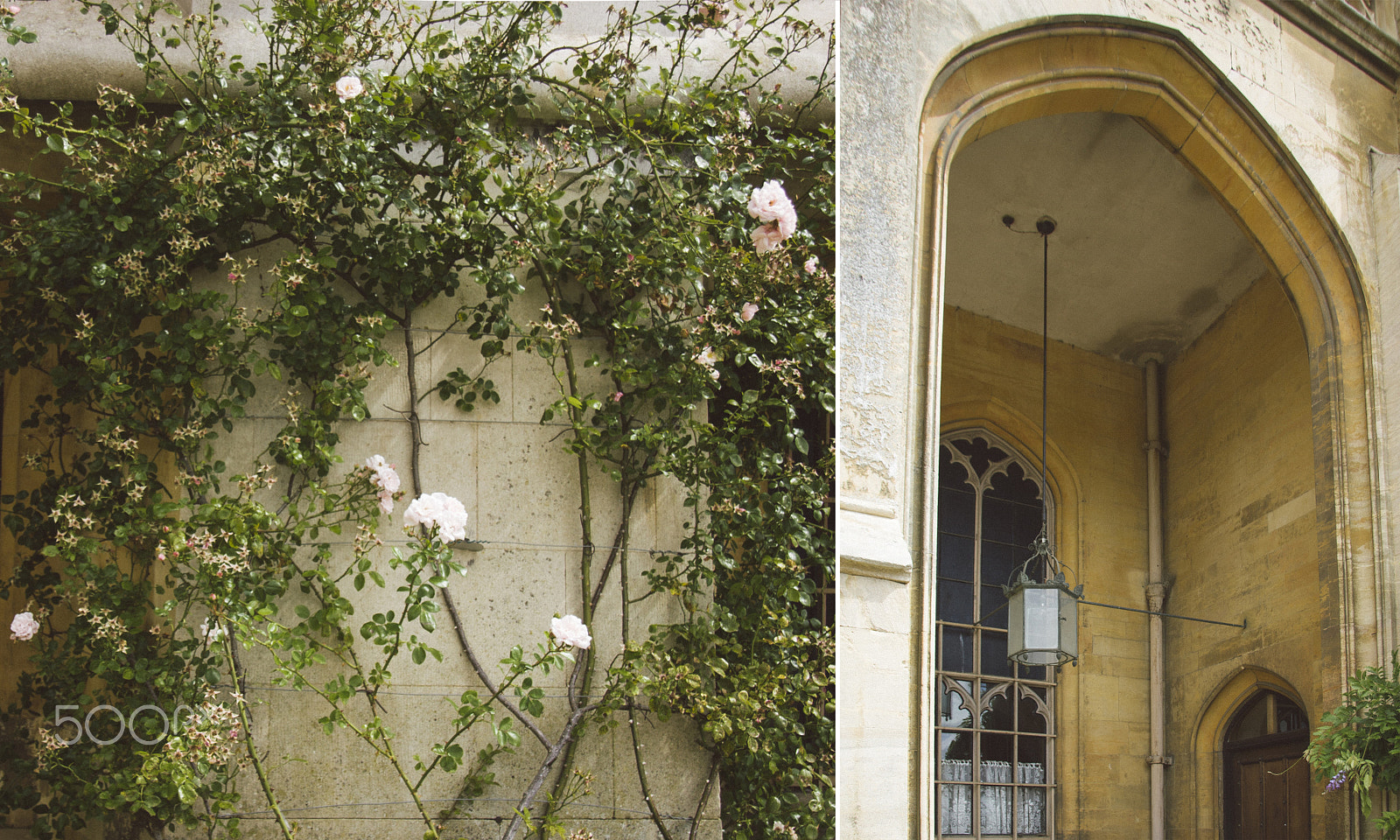 Canon EF-S 17-85mm F4-5.6 IS USM sample photo. Castle detail with vintage lantern and rose flowers photography