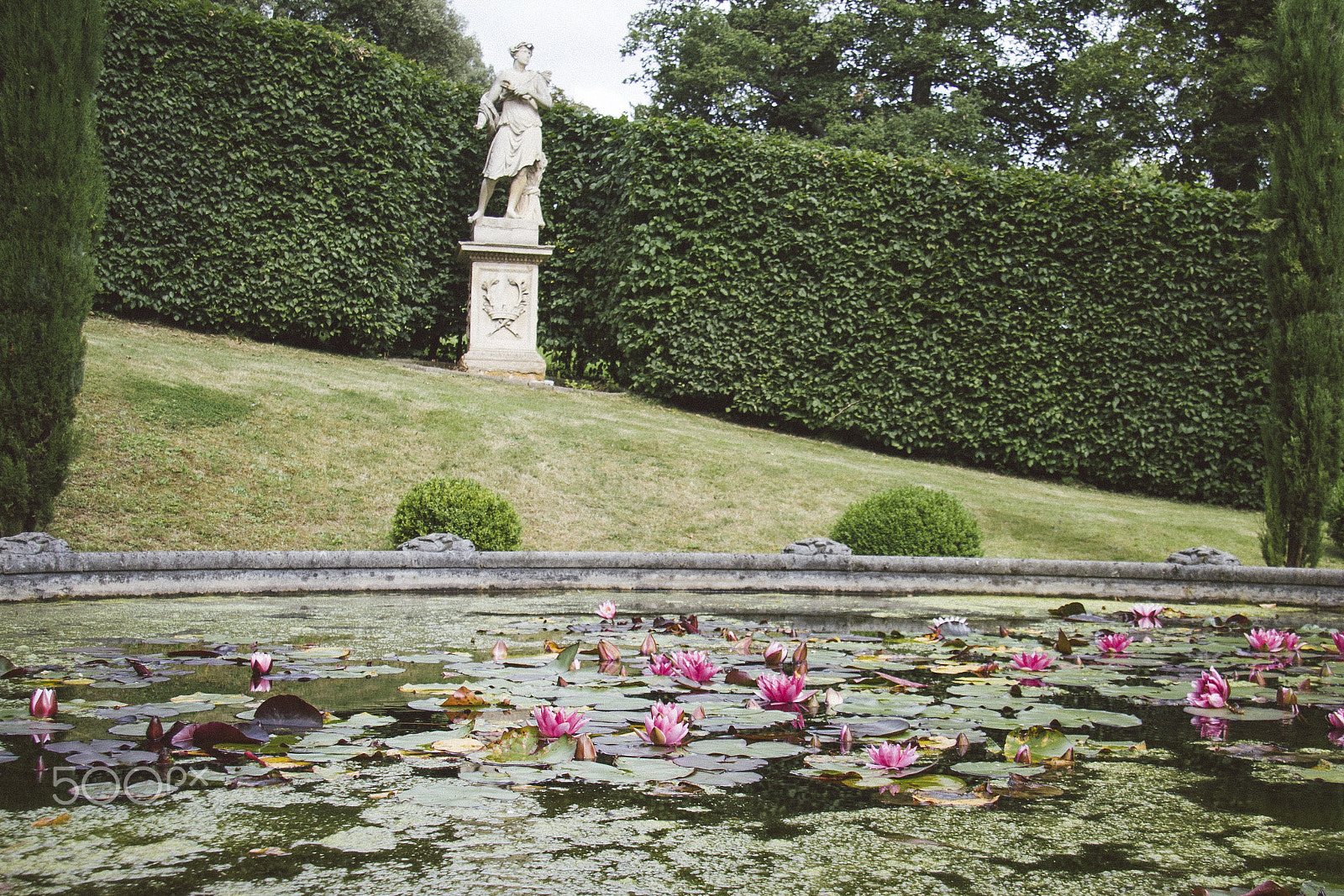 Canon EF-S 17-85mm F4-5.6 IS USM sample photo. Lily pond with antique statue on the background photography