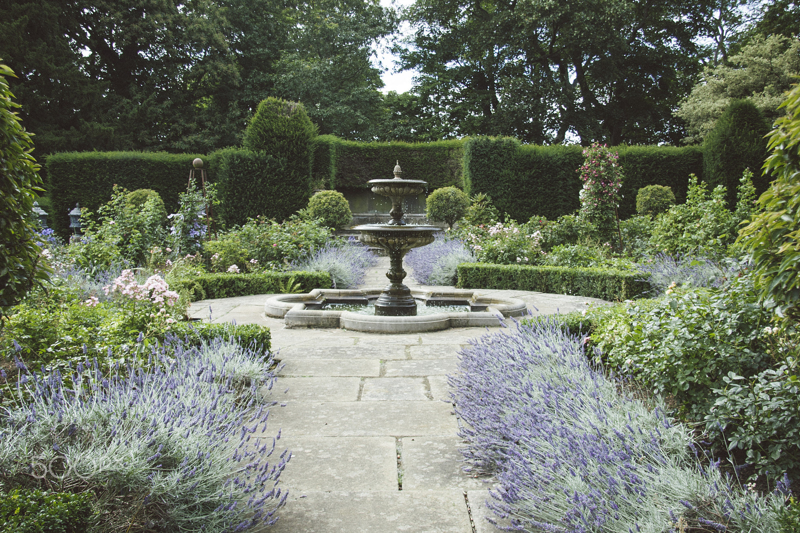 Canon EF-S 17-85mm F4-5.6 IS USM sample photo. Formal english gardens photography