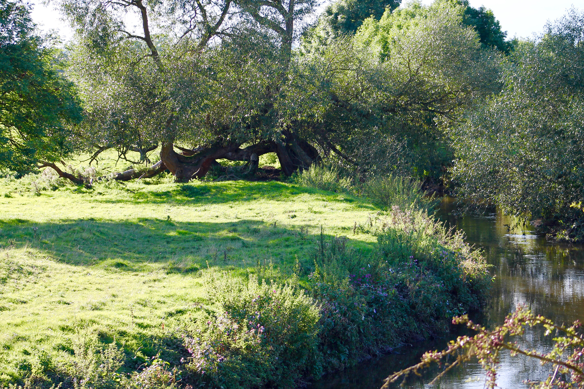 Canon EF75-300mm f/4-5.6 sample photo. Life on the riverbank photography