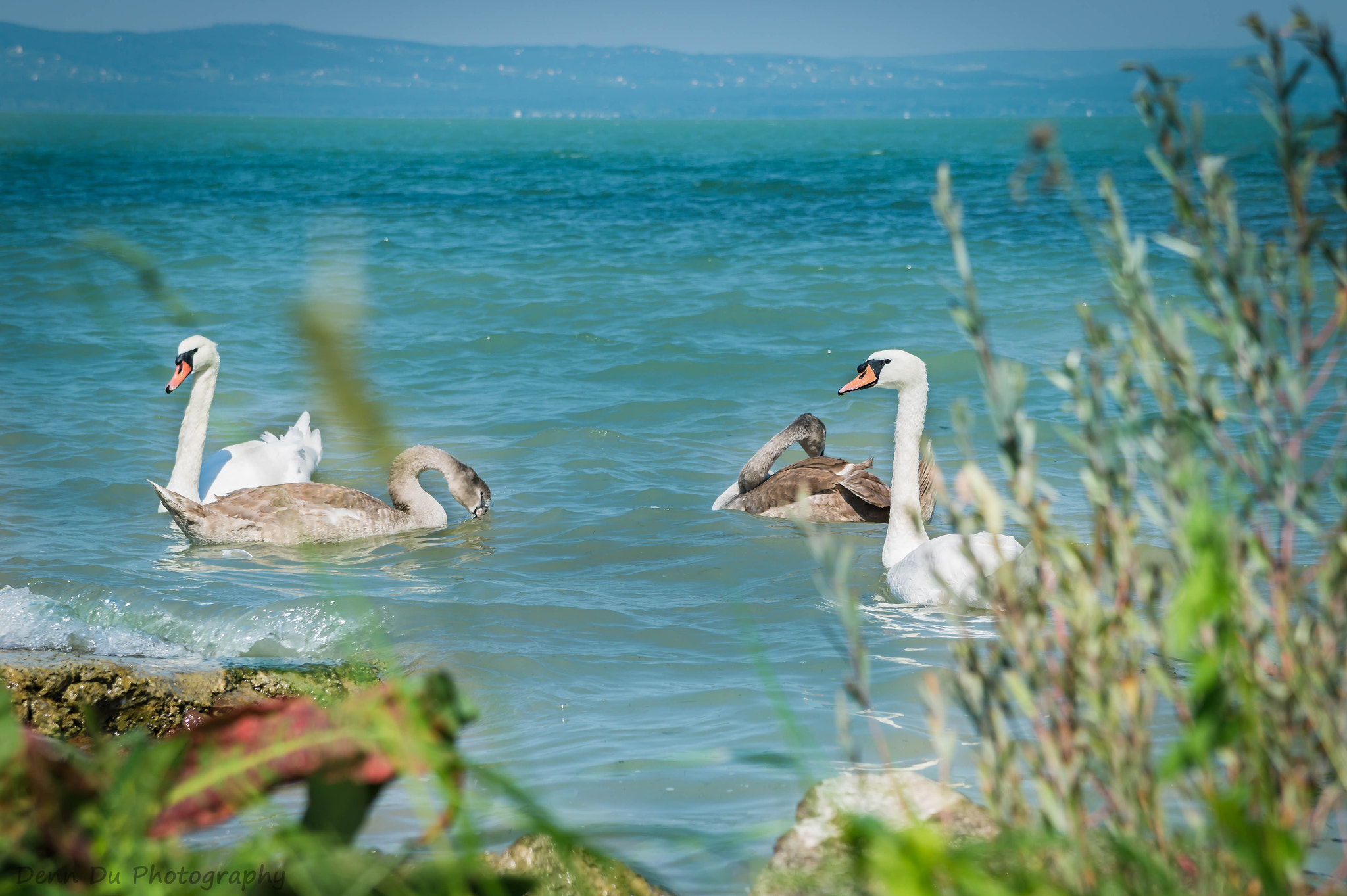 Sony SLT-A58 sample photo. Seerundfahrt am plattensee photography