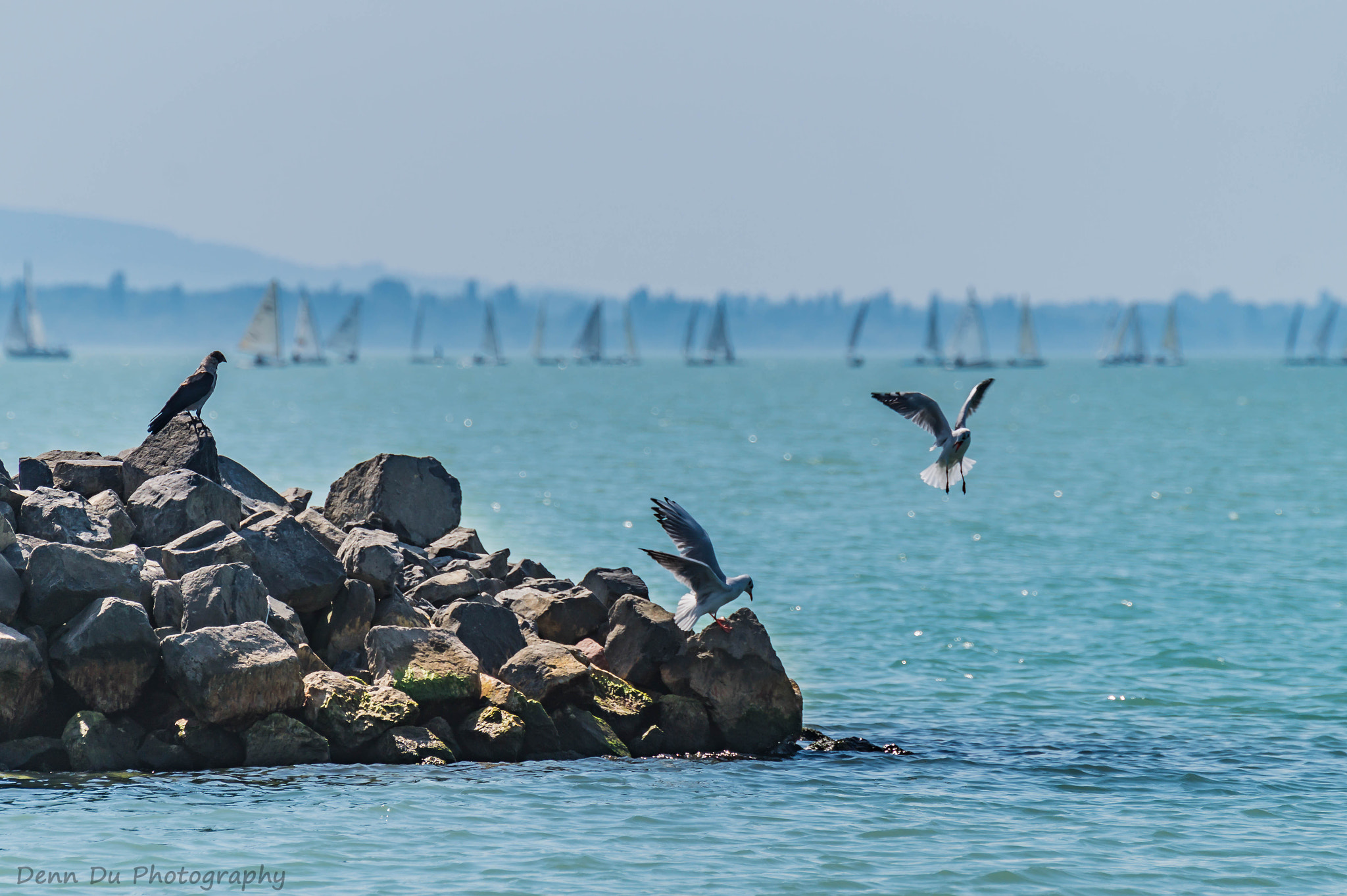 Tamron SP 70-300mm F4-5.6 Di USD sample photo. Seerundfahrt am plattensee photography