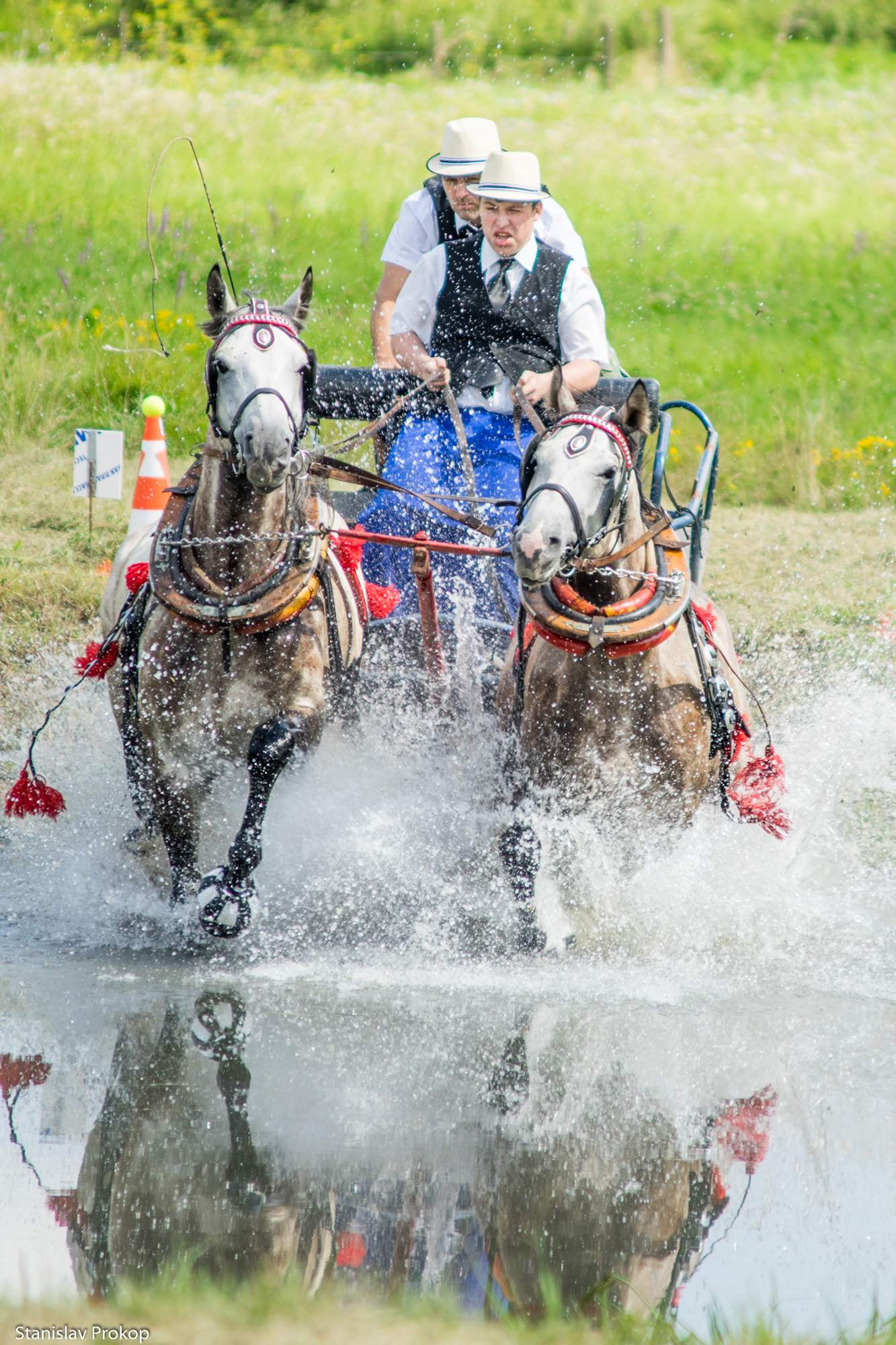 Sony a7 + Minolta AF 70-210mm F4 Macro sample photo. Horses in water photography