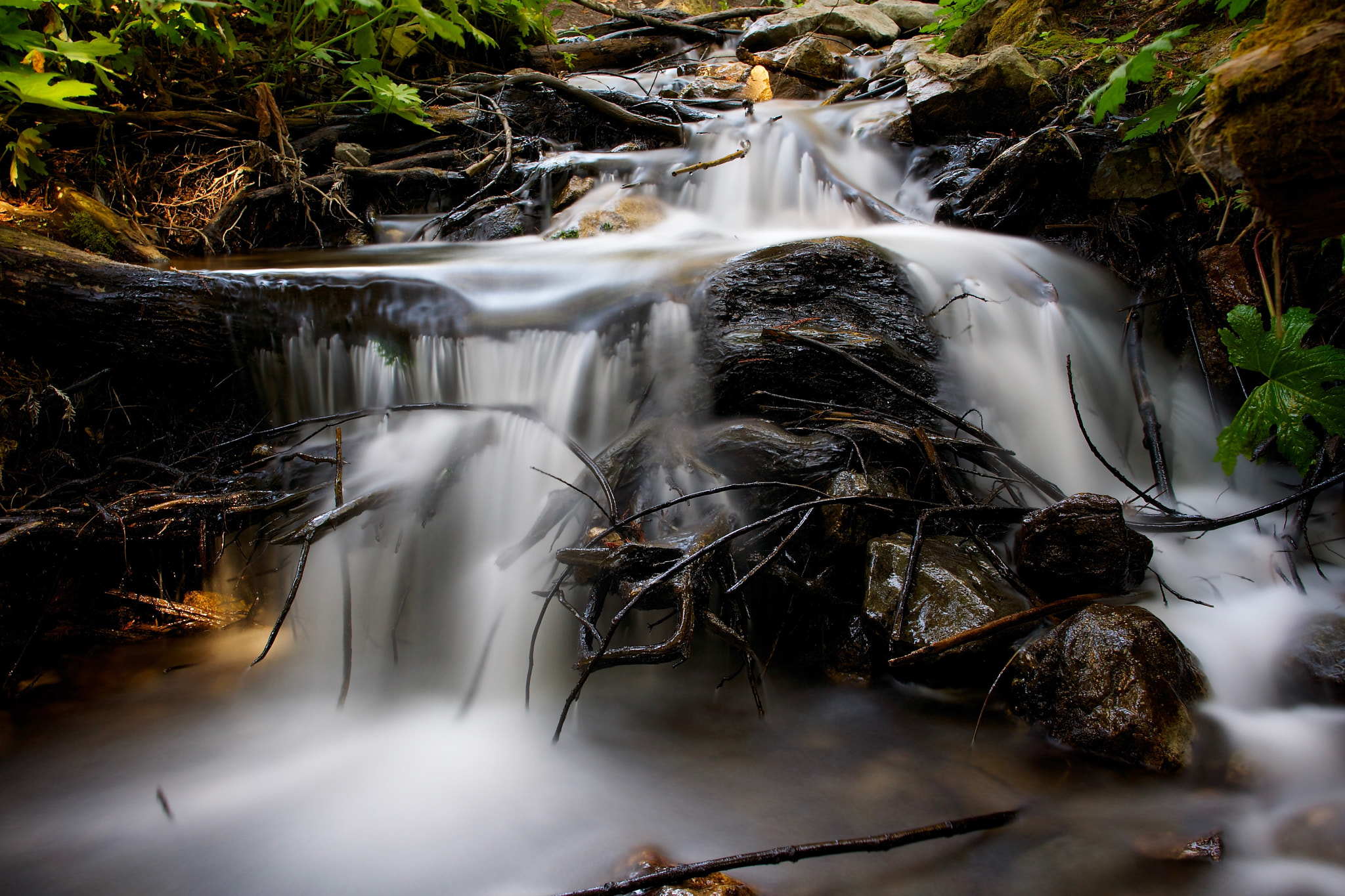 Sony Alpha NEX-7 sample photo. Photo photography