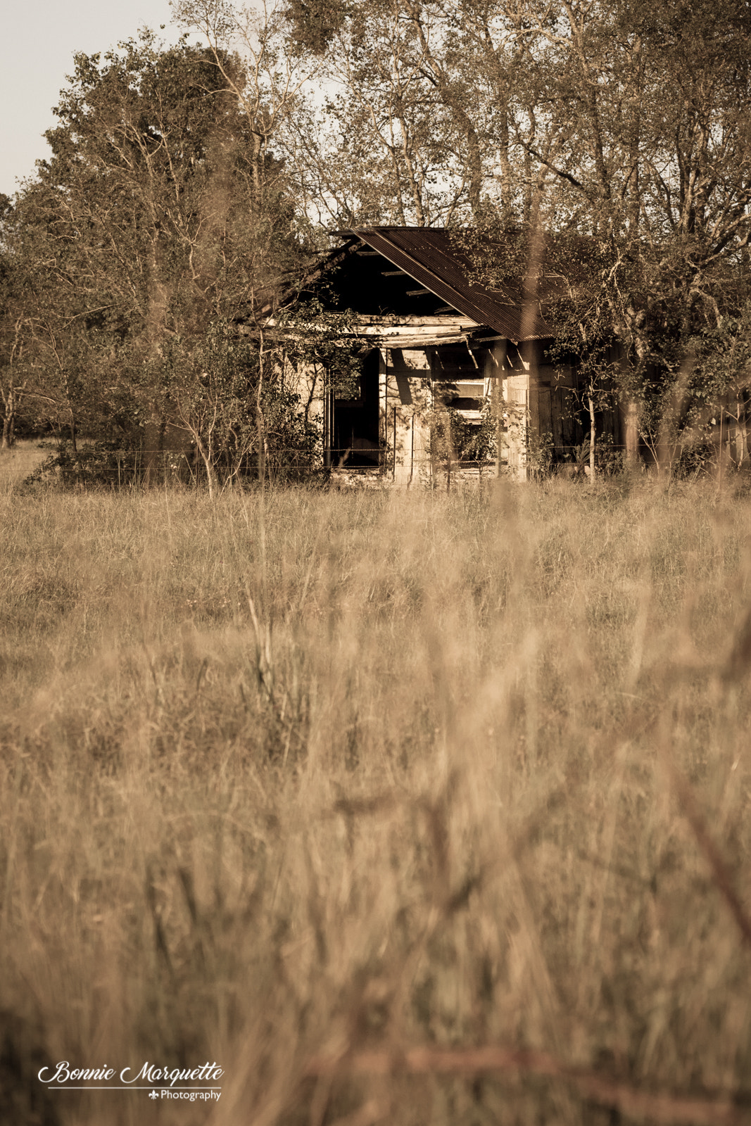 Canon EOS 5D Mark II + Tamron SP AF 90mm F2.8 Di Macro sample photo. Old shack photography