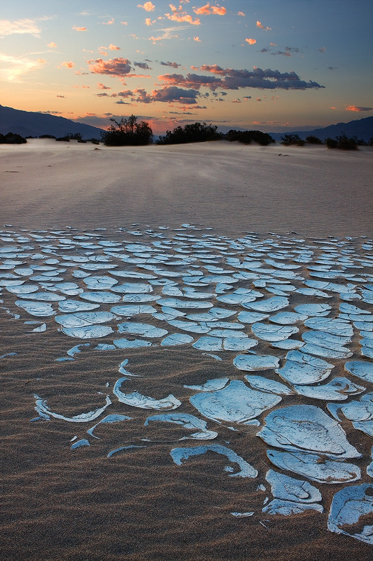 Canon EOS 50D + Canon EF 24-70mm F2.8L USM sample photo. Not only are the mudflats caught in time but so ar ... photography