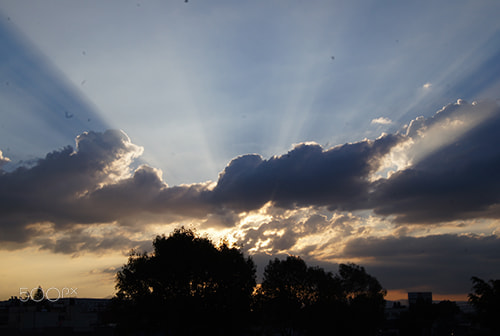 Sony SLT-A35 + Sony DT 18-55mm F3.5-5.6 SAM sample photo. Contra luz ii photography