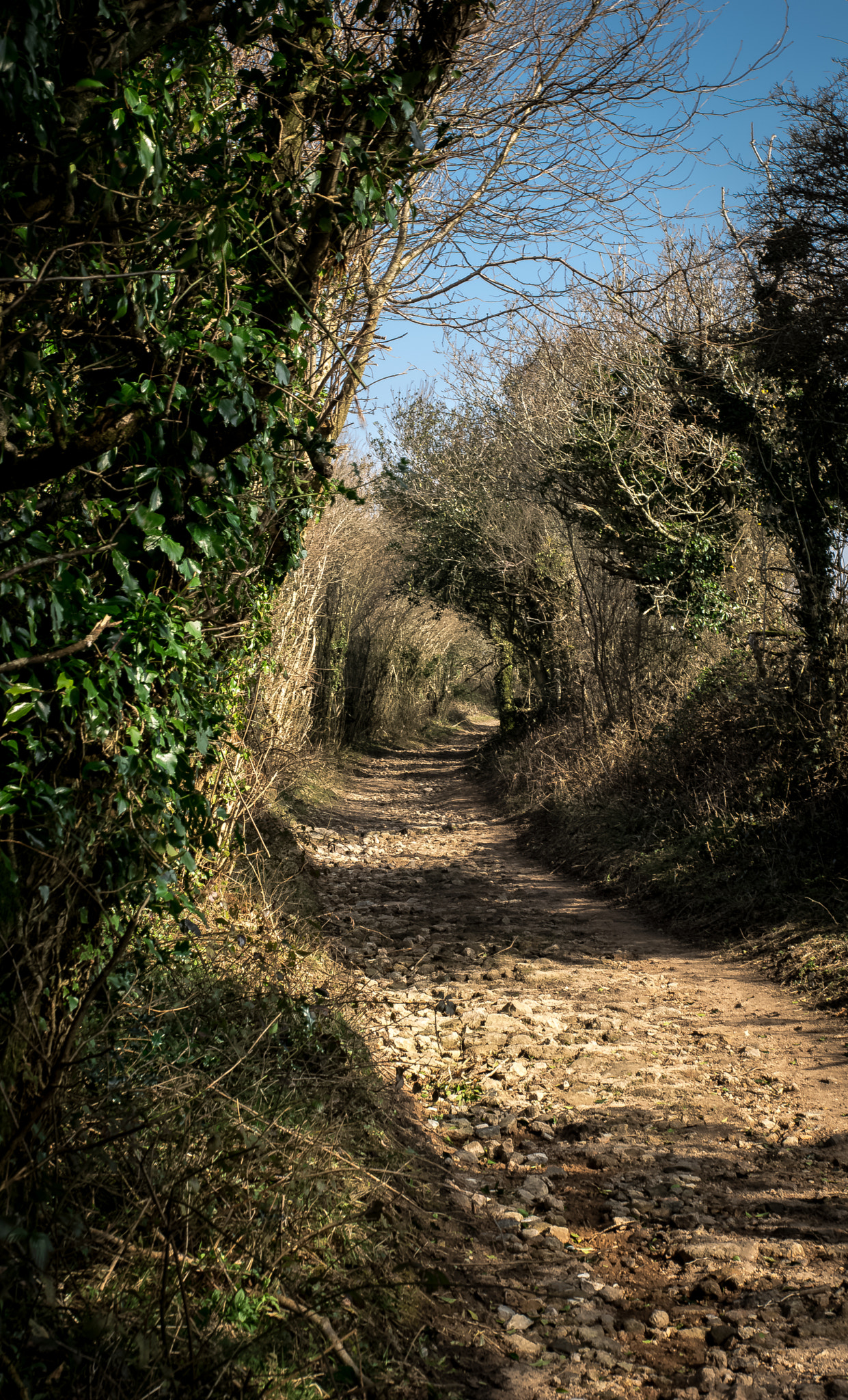 Pentax K-3 II sample photo. Off down the trail photography
