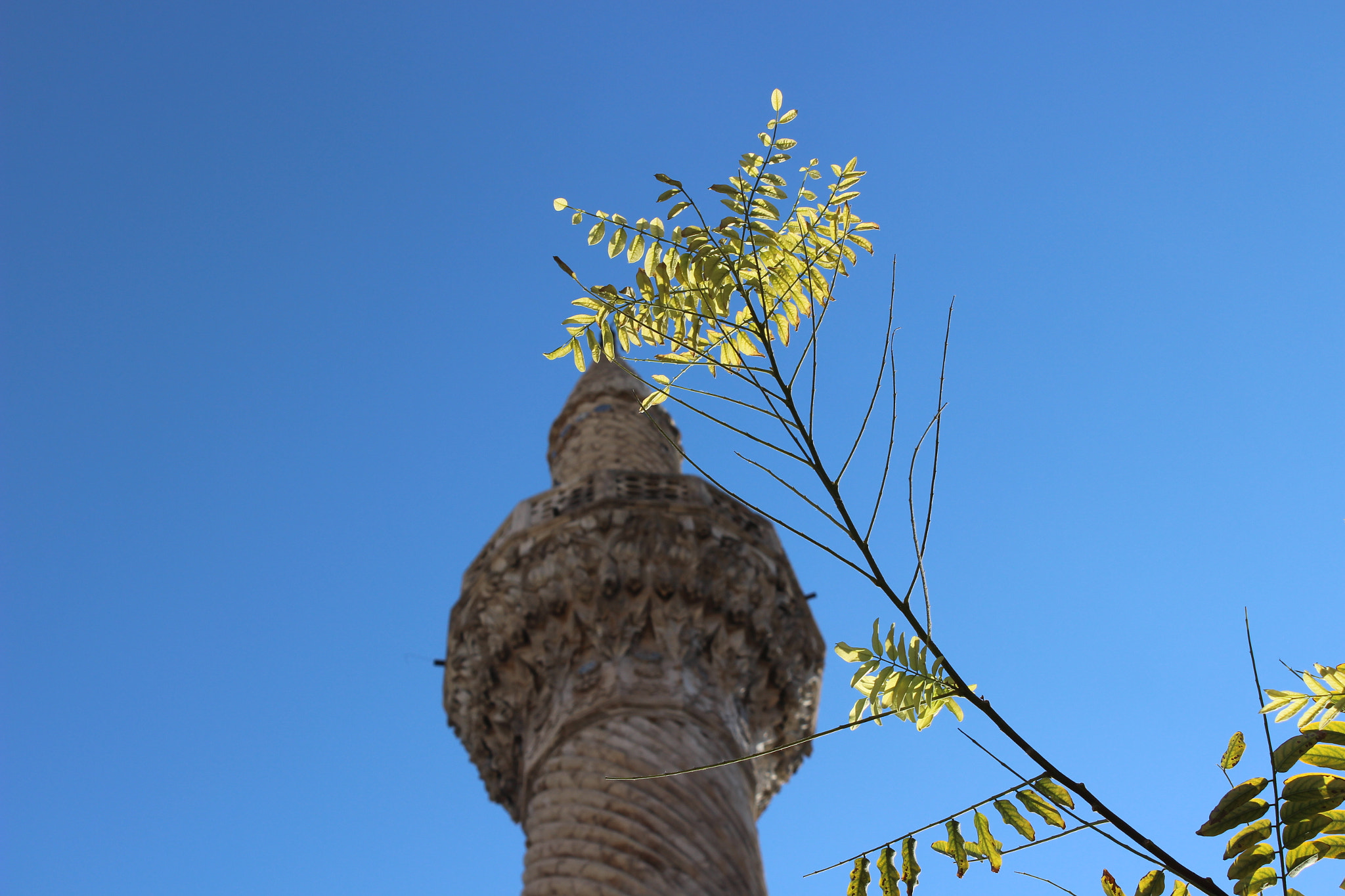 Canon EOS 100D (EOS Rebel SL1 / EOS Kiss X7) sample photo. Mosque photography