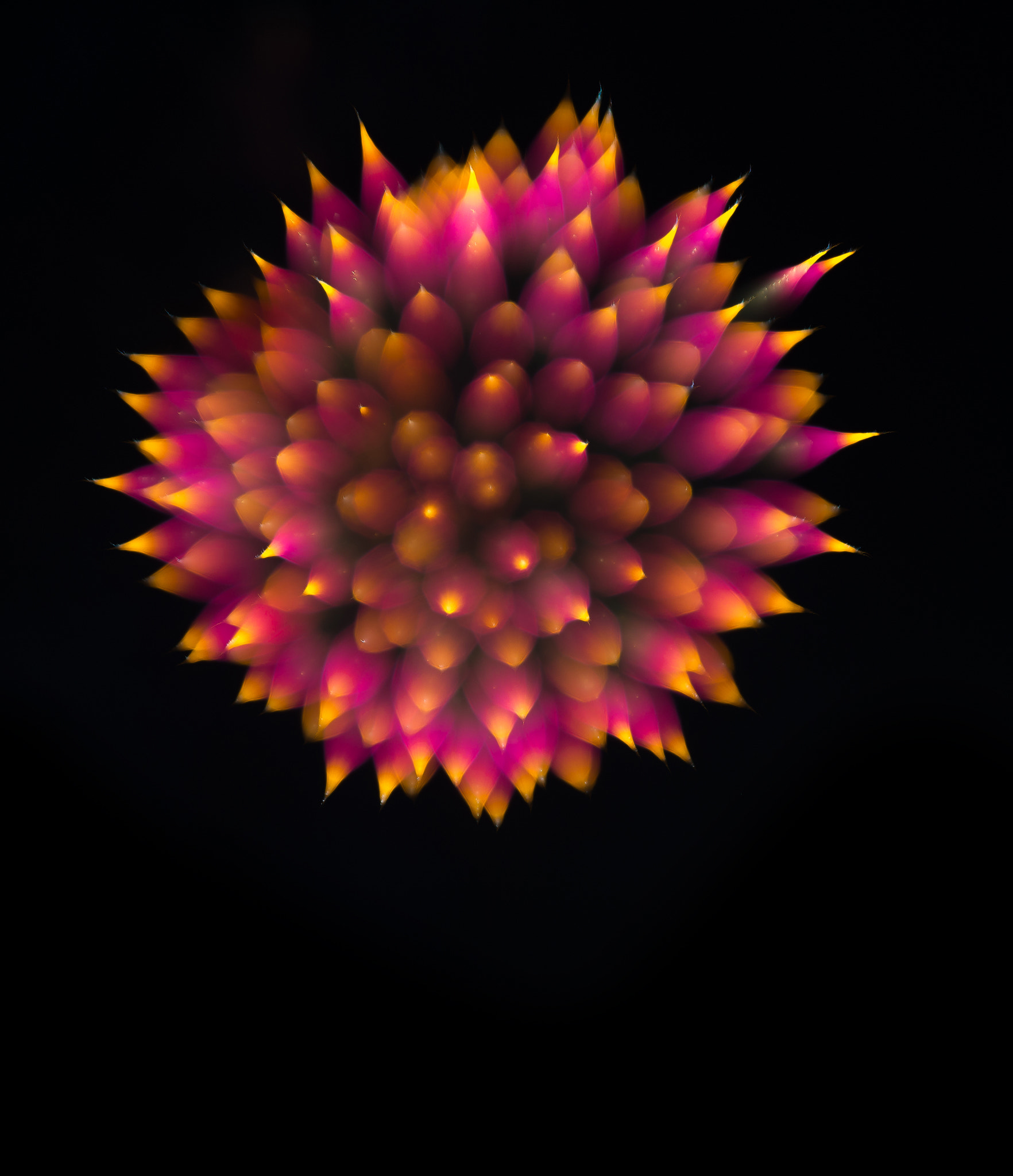 Nikon D600 + Nikon AF Nikkor 85mm F1.8D sample photo. Fireworks photography