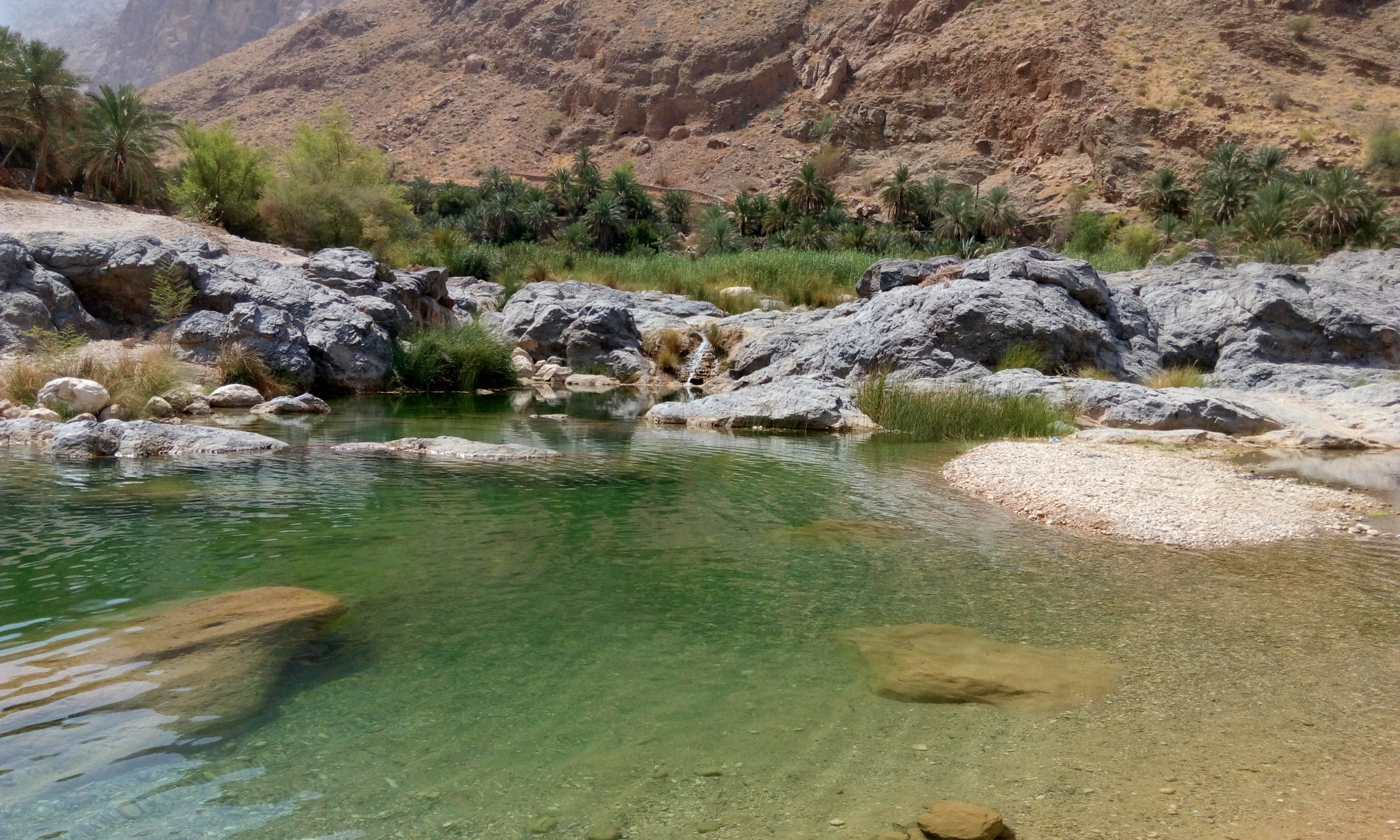 HTC DESIRE 816G DUAL SIM sample photo