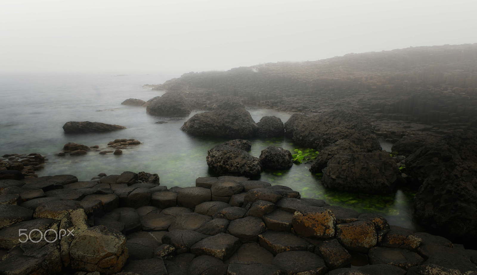 Saumsun NX 16-50mm F2-2.8 S ED OIS sample photo. Foggy memorie photography