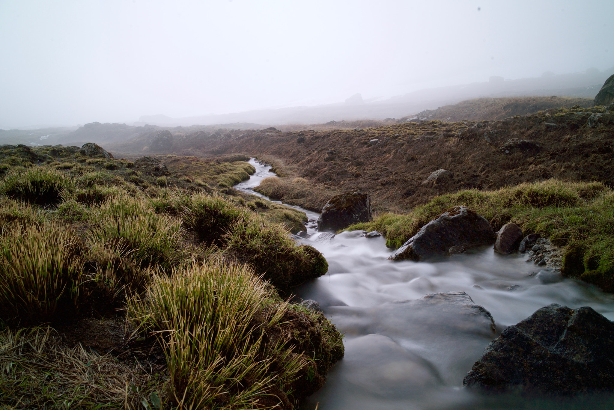 Sony a7S sample photo. When we find our path, like raindrops find a river ... photography