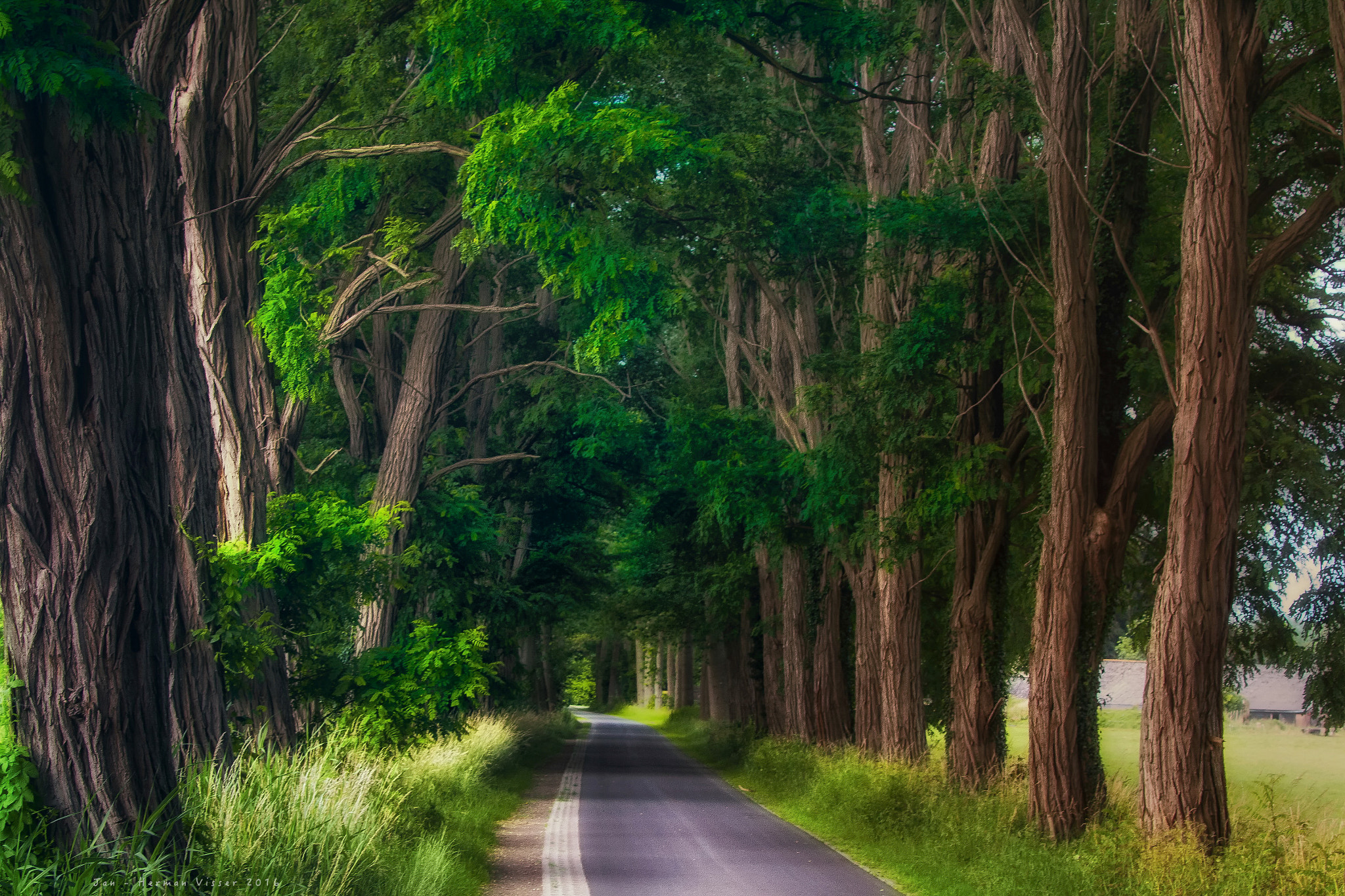 Canon EF 50-200mm f/3.5-4.5 sample photo. Road trip... photography