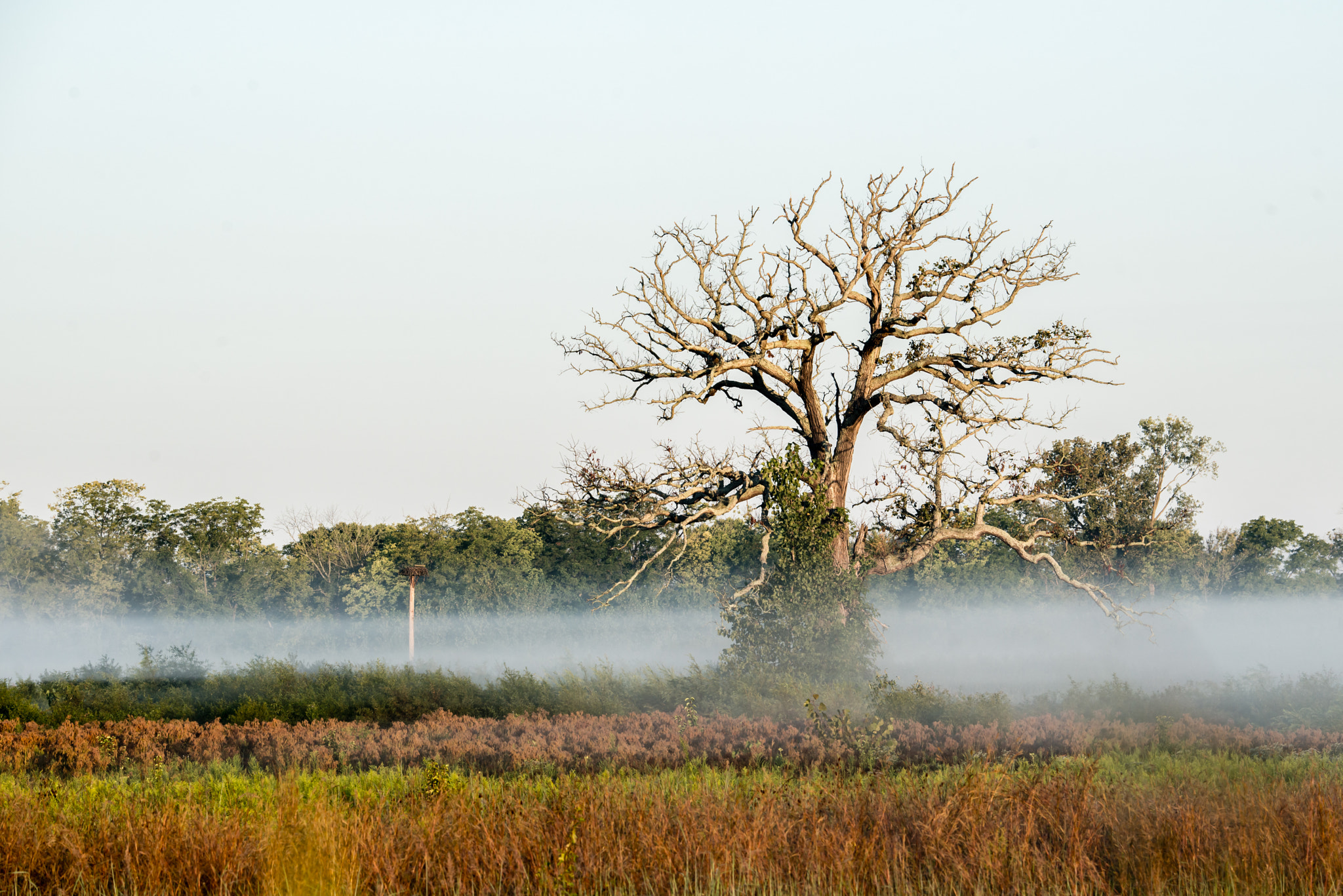 Nikon D800E sample photo. Alone photography