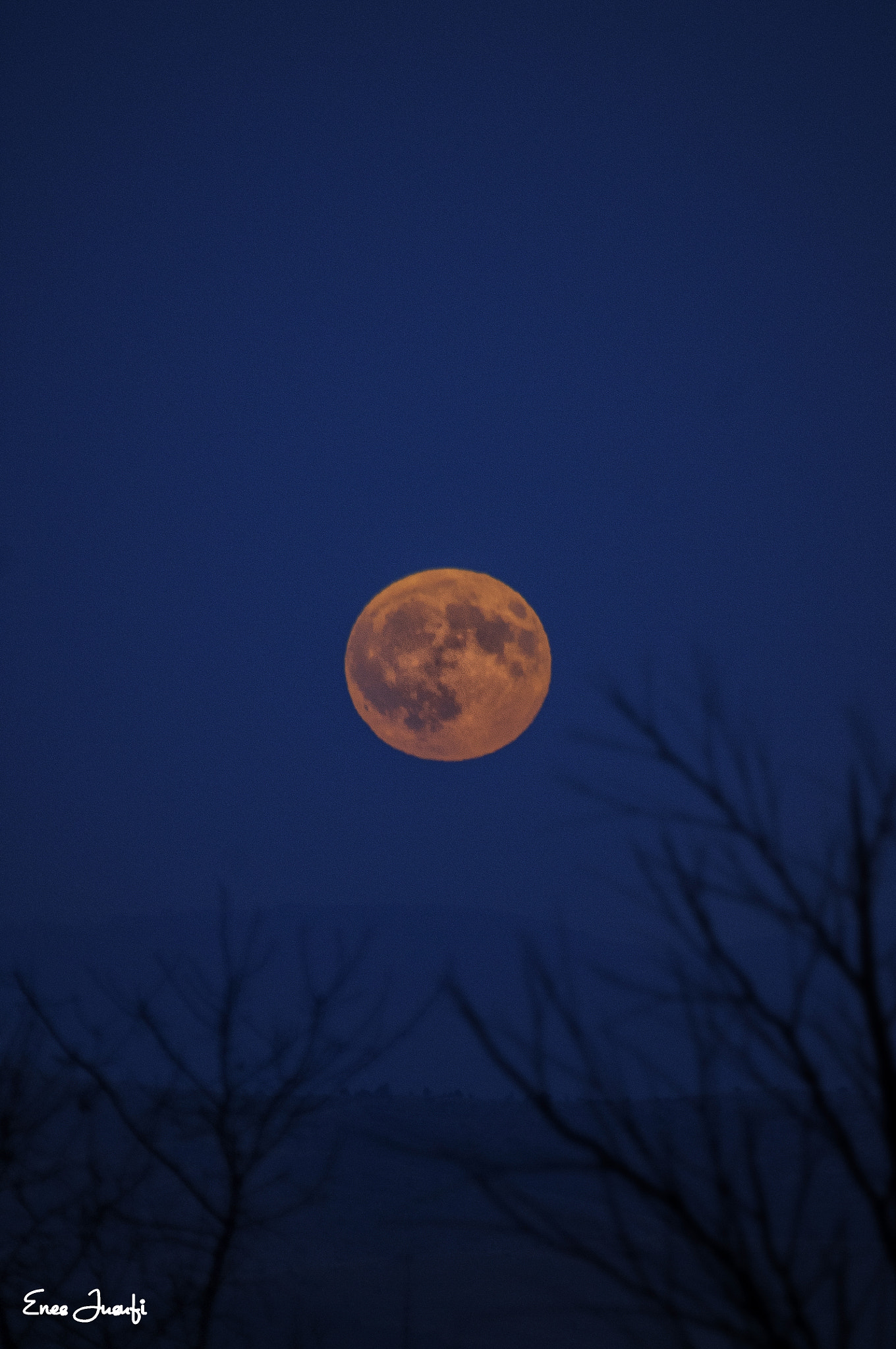 Nikon D300S + Sigma 70-200mm F2.8 EX DG OS HSM sample photo. The bloody moon photography