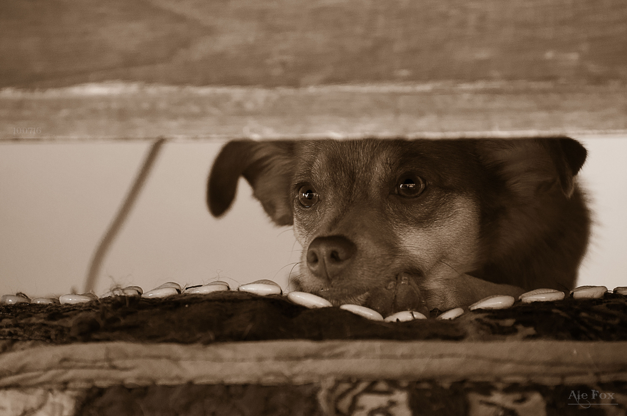 Nikon D5000 sample photo. I'm watching you photography