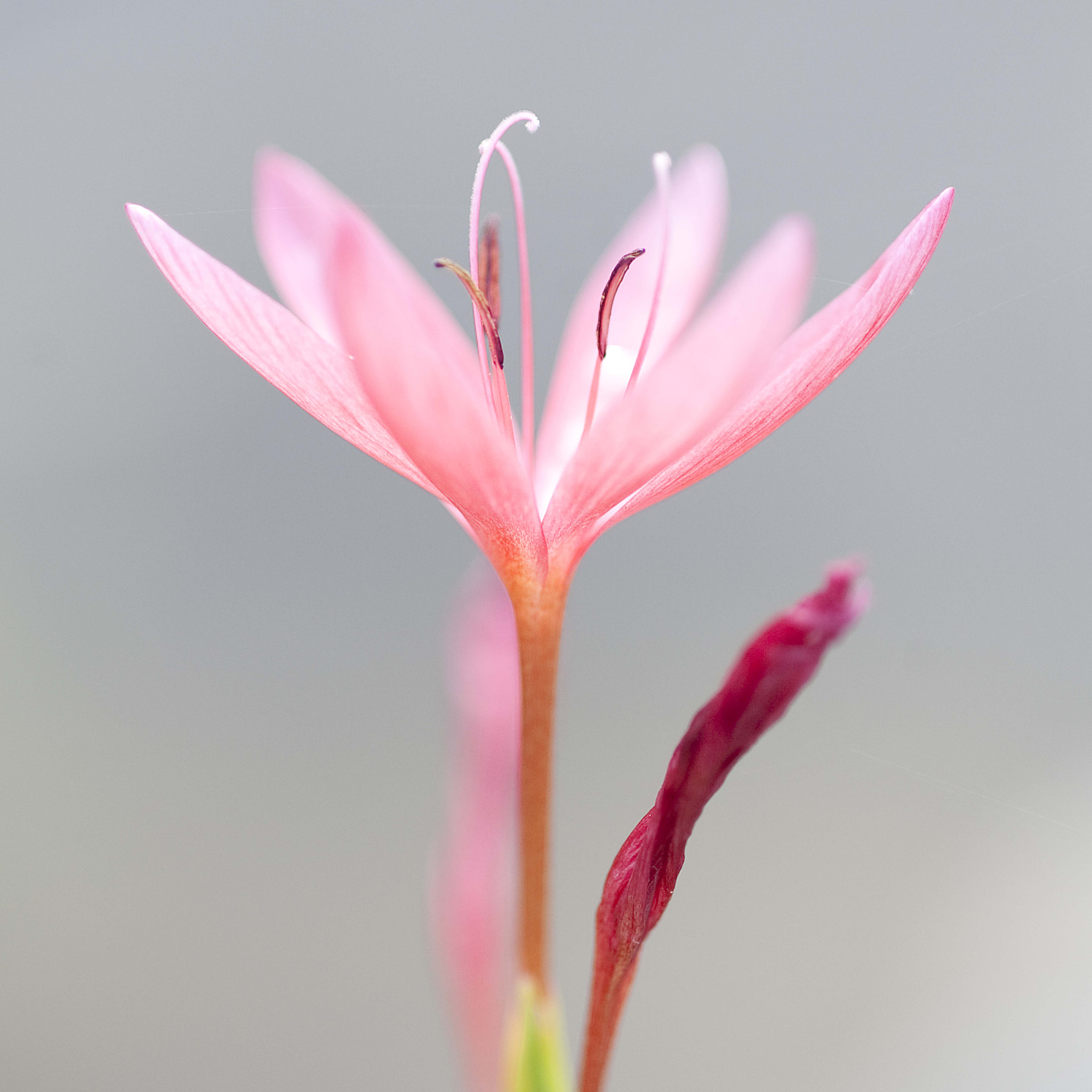 Nikon D3 sample photo