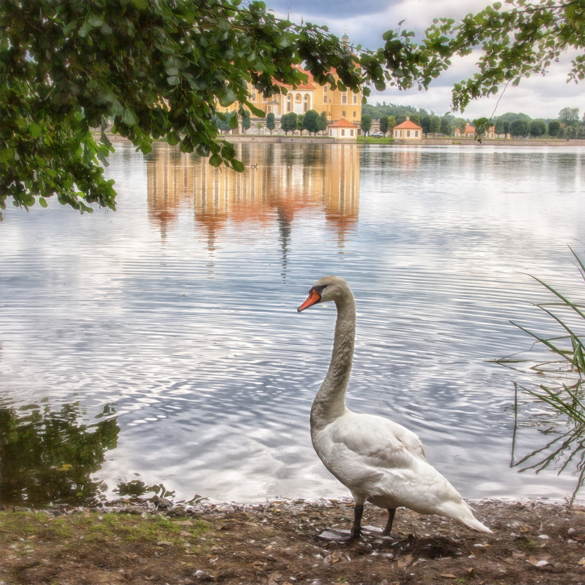 Sigma 17-70mm F2.8-4 DC Macro OS HSM sample photo. Lohengrin photography
