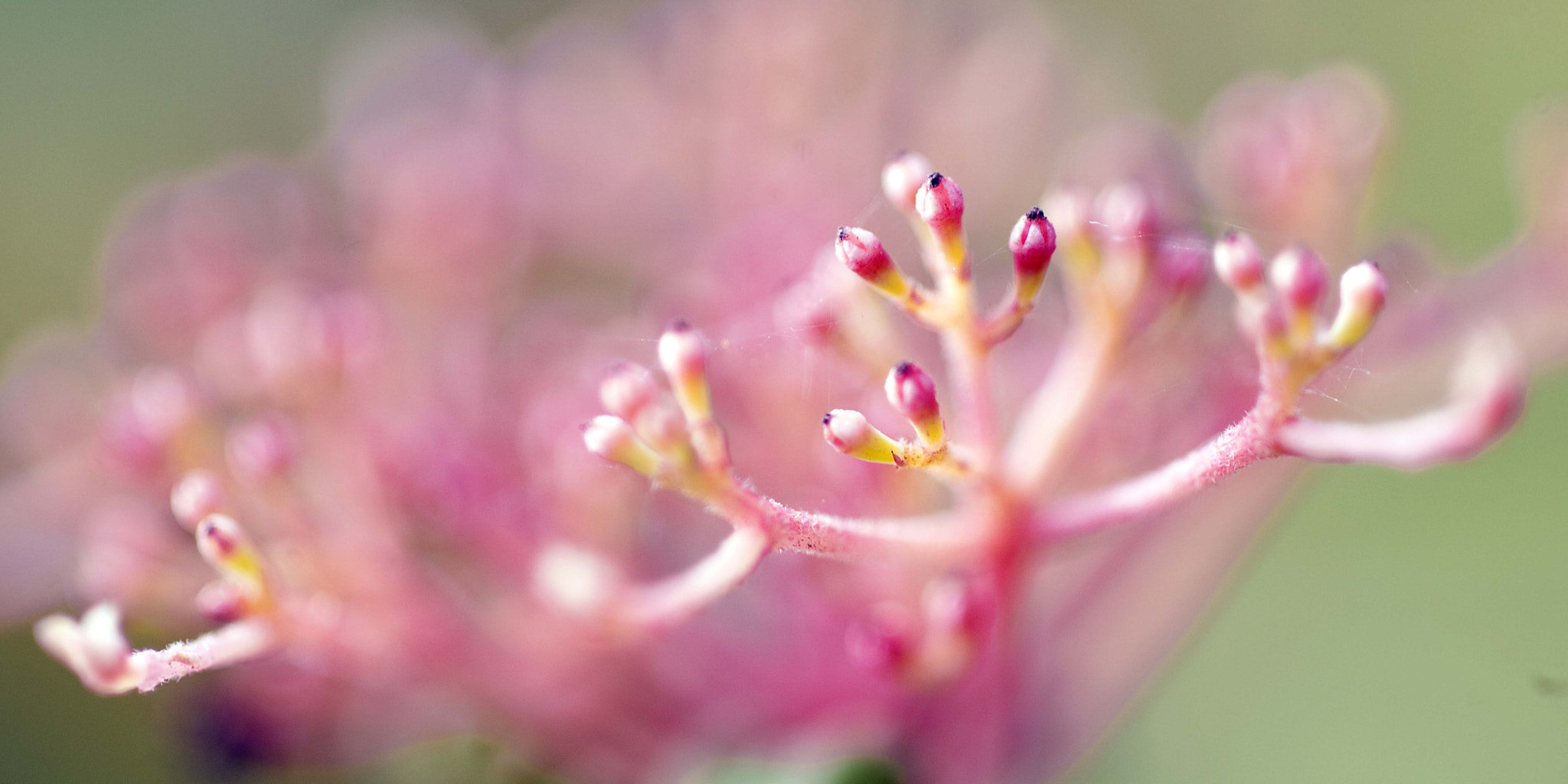 Nikon D3 sample photo