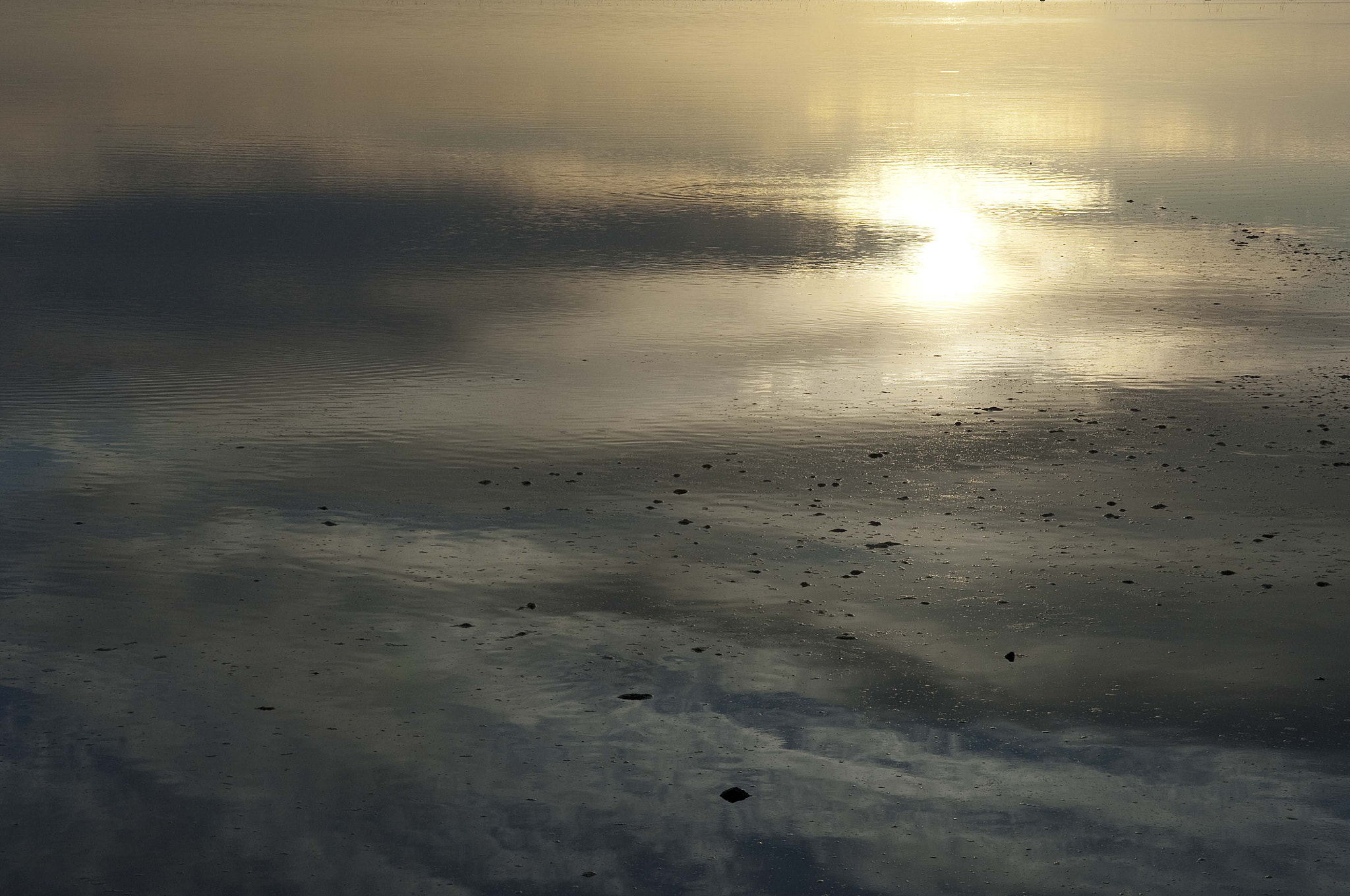 Nikon D2X sample photo