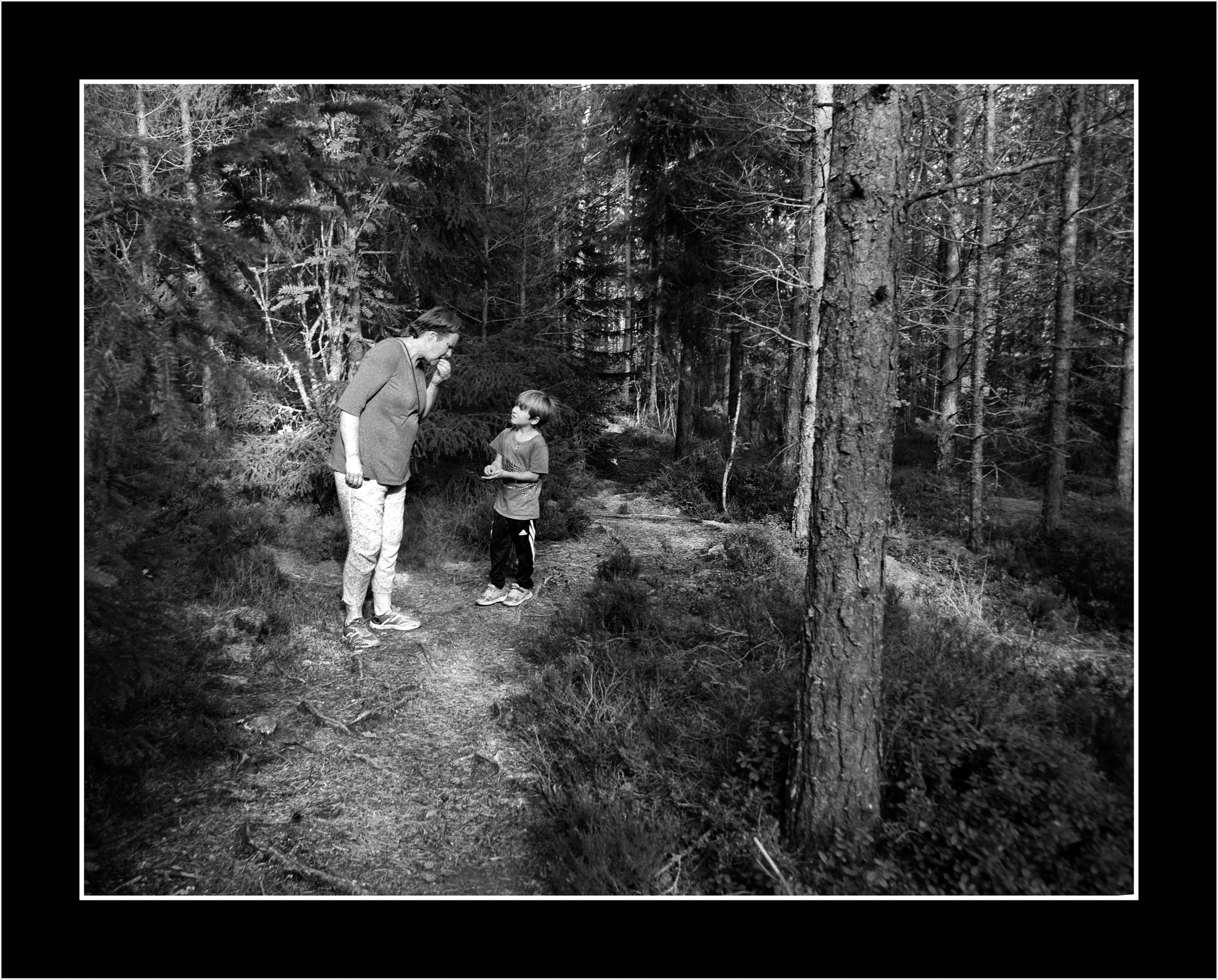 Pentax K20D + Pentax smc DA 15mm F4 ED AL Limited sample photo. In the forrest photography