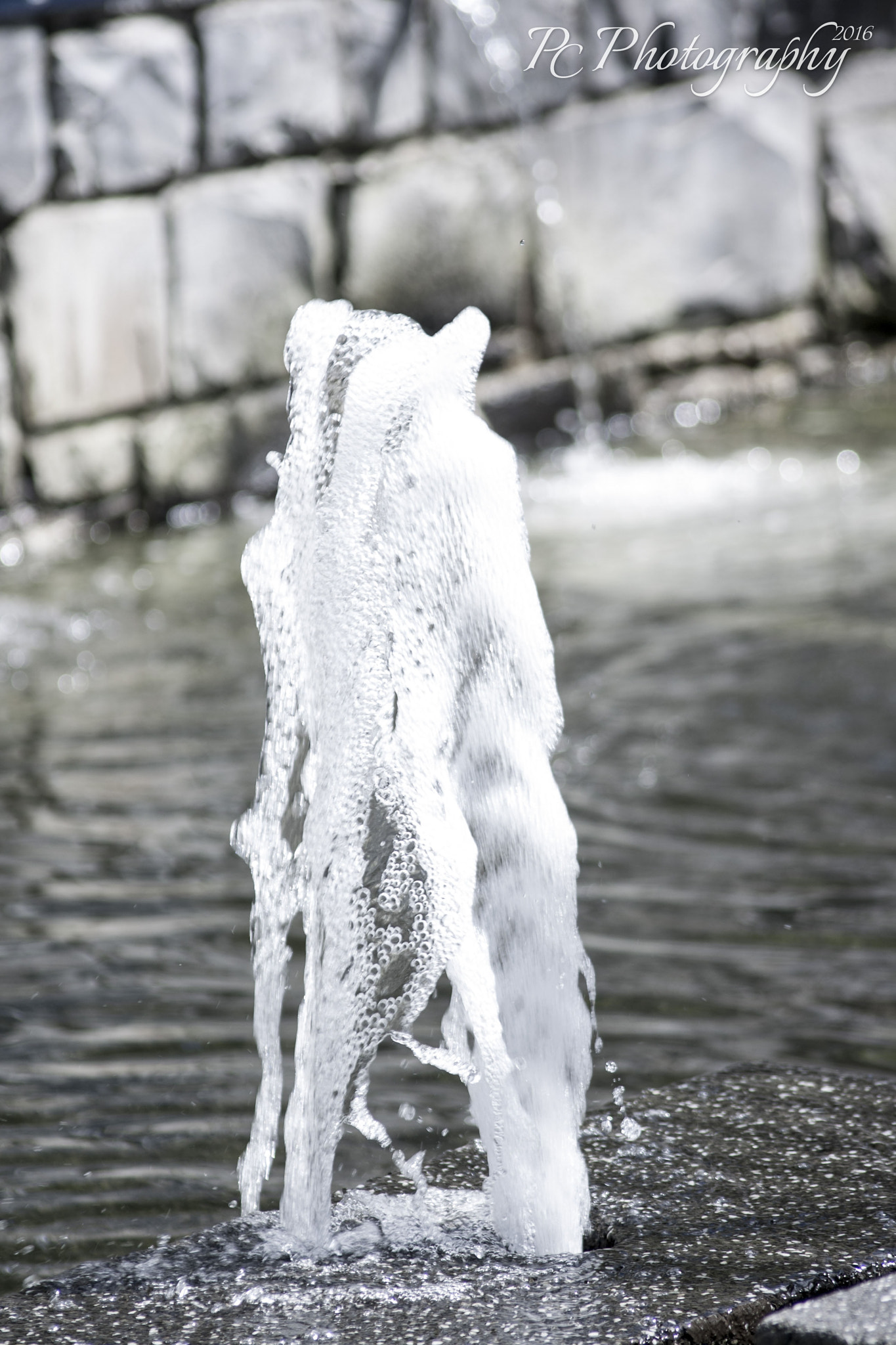 Canon EOS 1000D (EOS Digital Rebel XS / EOS Kiss F) sample photo. Px global walk photography