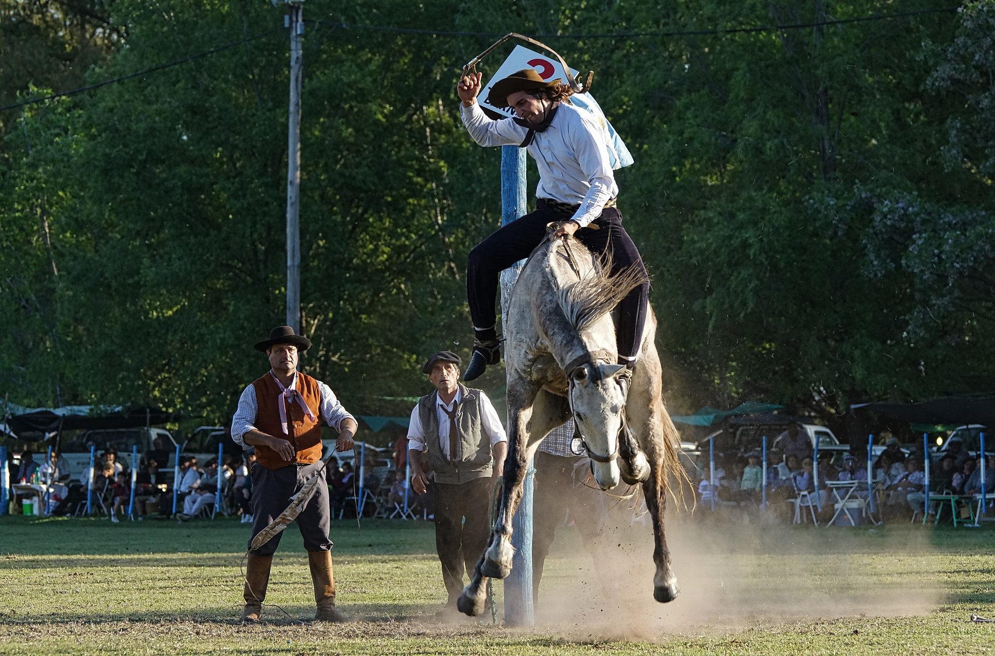 Sony 70-400mm F4-5.6 G SSM II sample photo