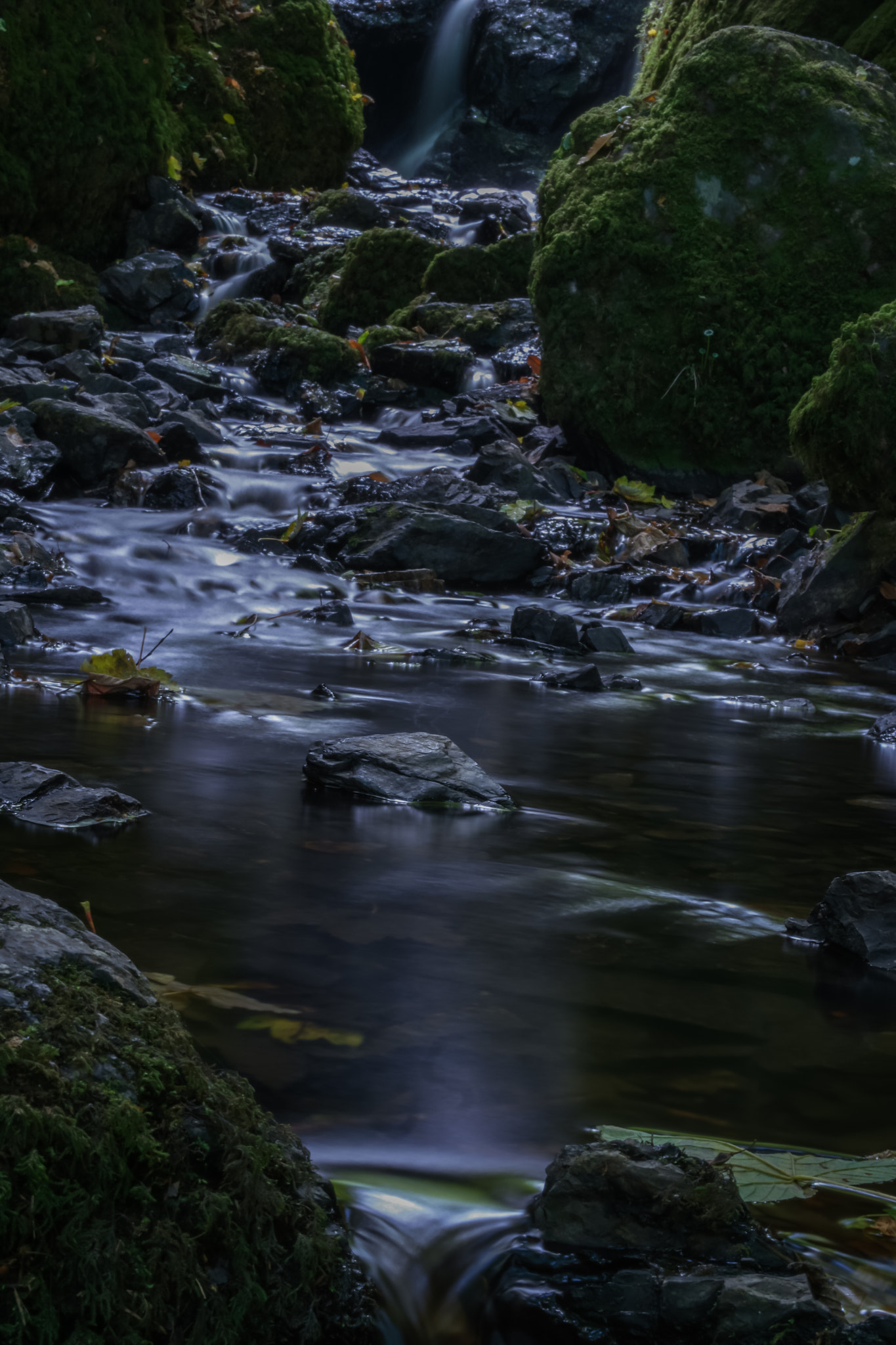 Samsung NX 45mm F1.8 sample photo. Canonteign falls. 3 photography