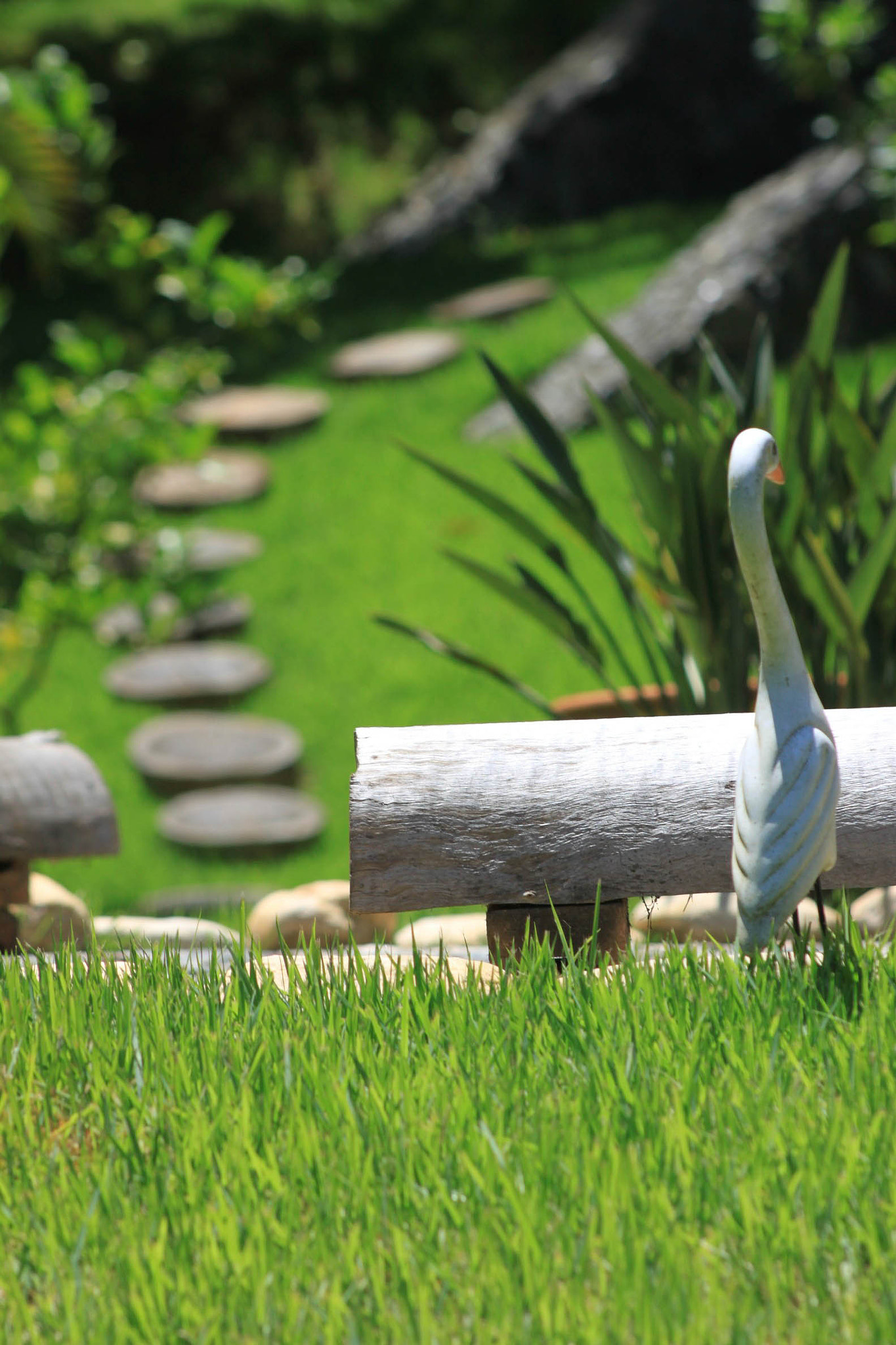Canon EF 75-300mm f/4-5.6 USM sample photo