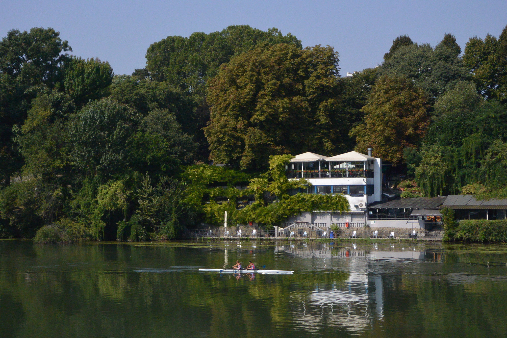 Nikon 1 J3 sample photo. Rowers on po river photography