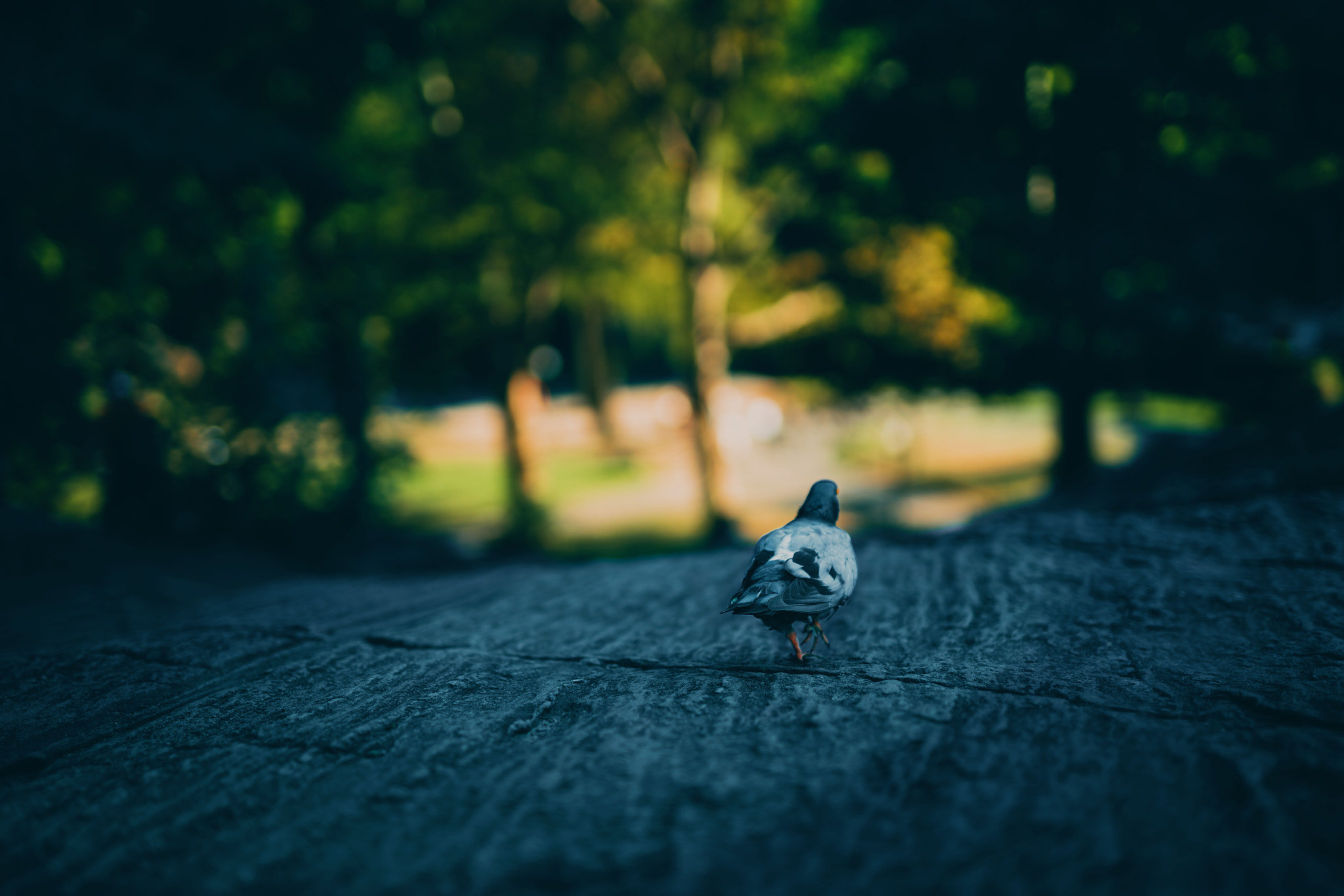 Canon 50mm F1.4 DG HSM | Art 014 sample photo. ✪➏➏✪ photography