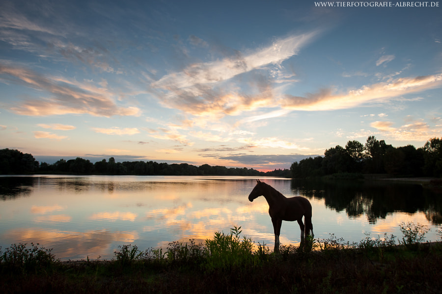 Canon EOS-1D Mark III sample photo. Sky photography