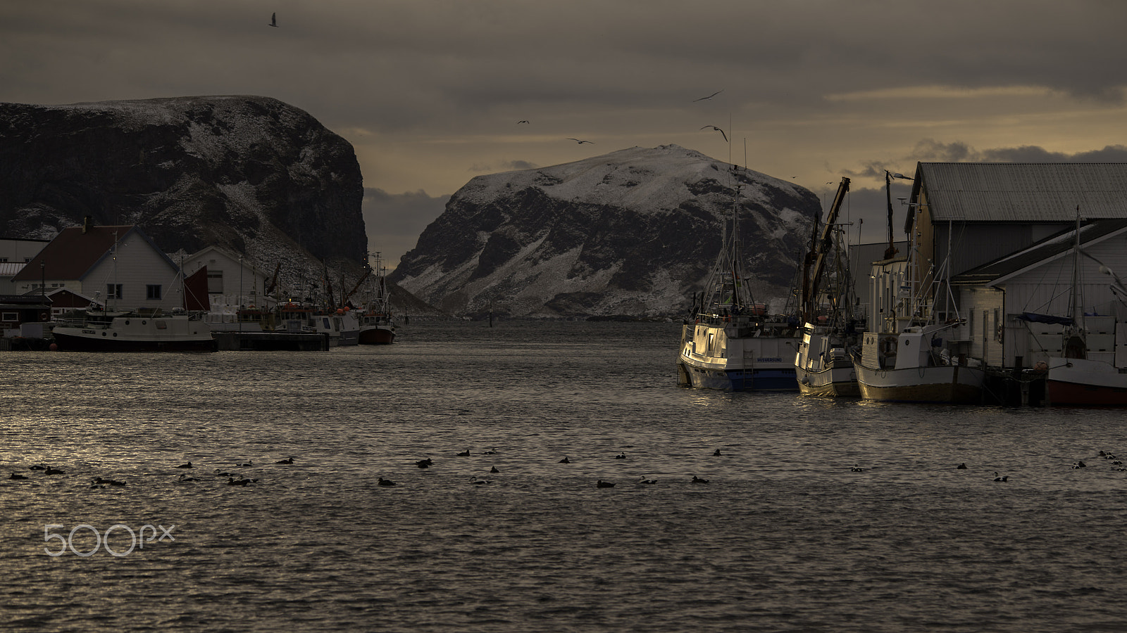 Sigma 150-500mm F5-6.3 DG OS HSM sample photo. En vinter dag på røst photography