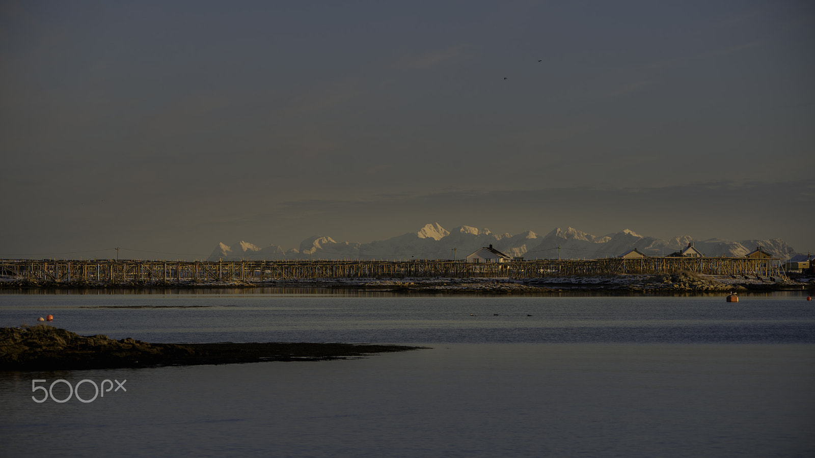 Sigma 150-500mm F5-6.3 DG OS HSM sample photo. Fiskehjell med lofotveggen som kuliss photography