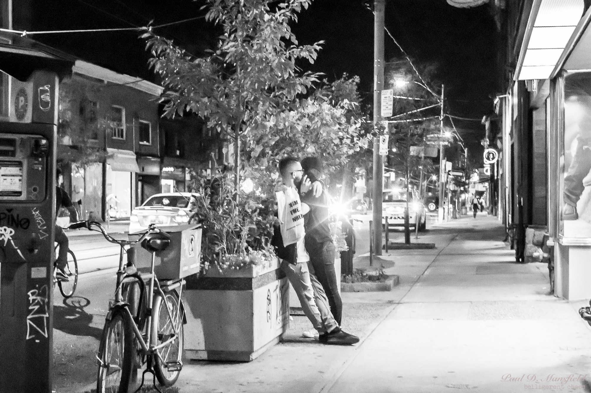 Sigma 30mm F1.4 EX DC HSM sample photo. Toronto is for lovers photography