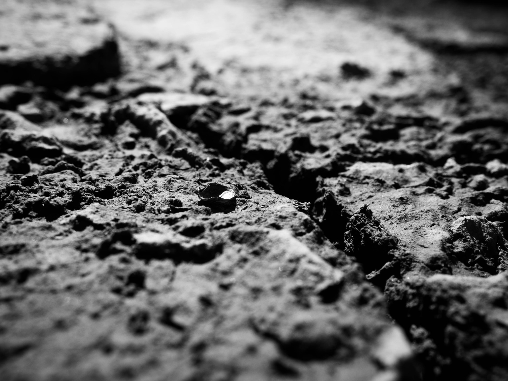 Olympus M.Zuiko Digital 14-42mm F3.5-5.6 II R sample photo. Dried sand photography