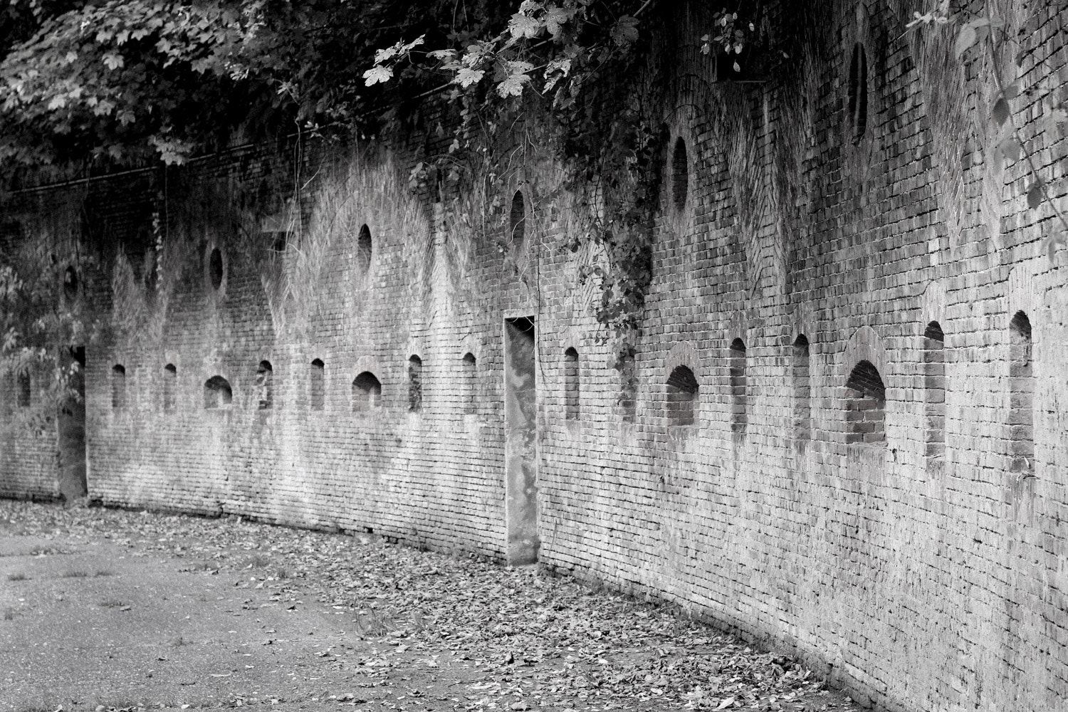 Canon EOS 600D (Rebel EOS T3i / EOS Kiss X5) + Canon EF 50mm F1.2L USM sample photo. Brialmont fort viii photography