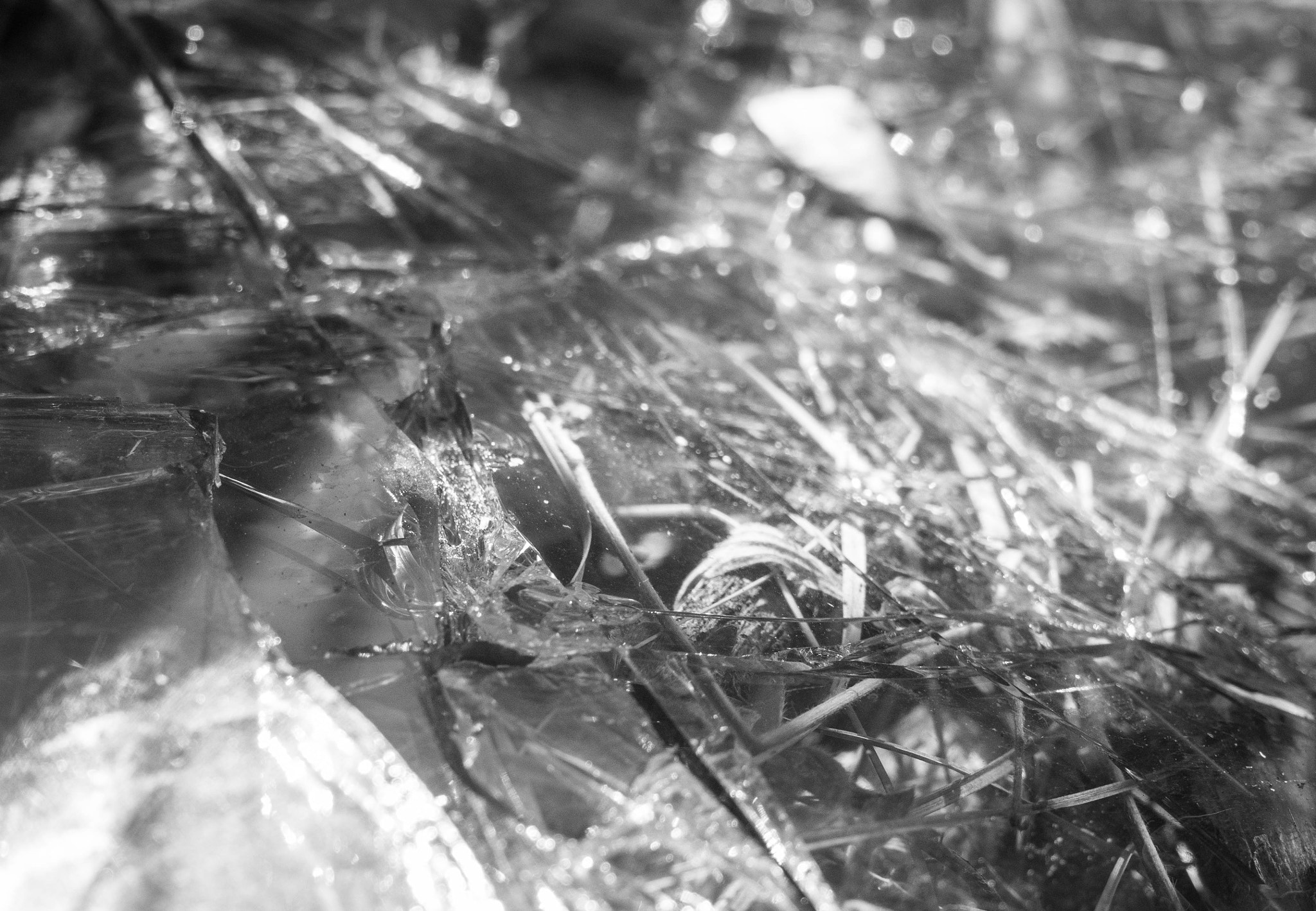 Olympus PEN E-PL6 sample photo. Broken windshield photography