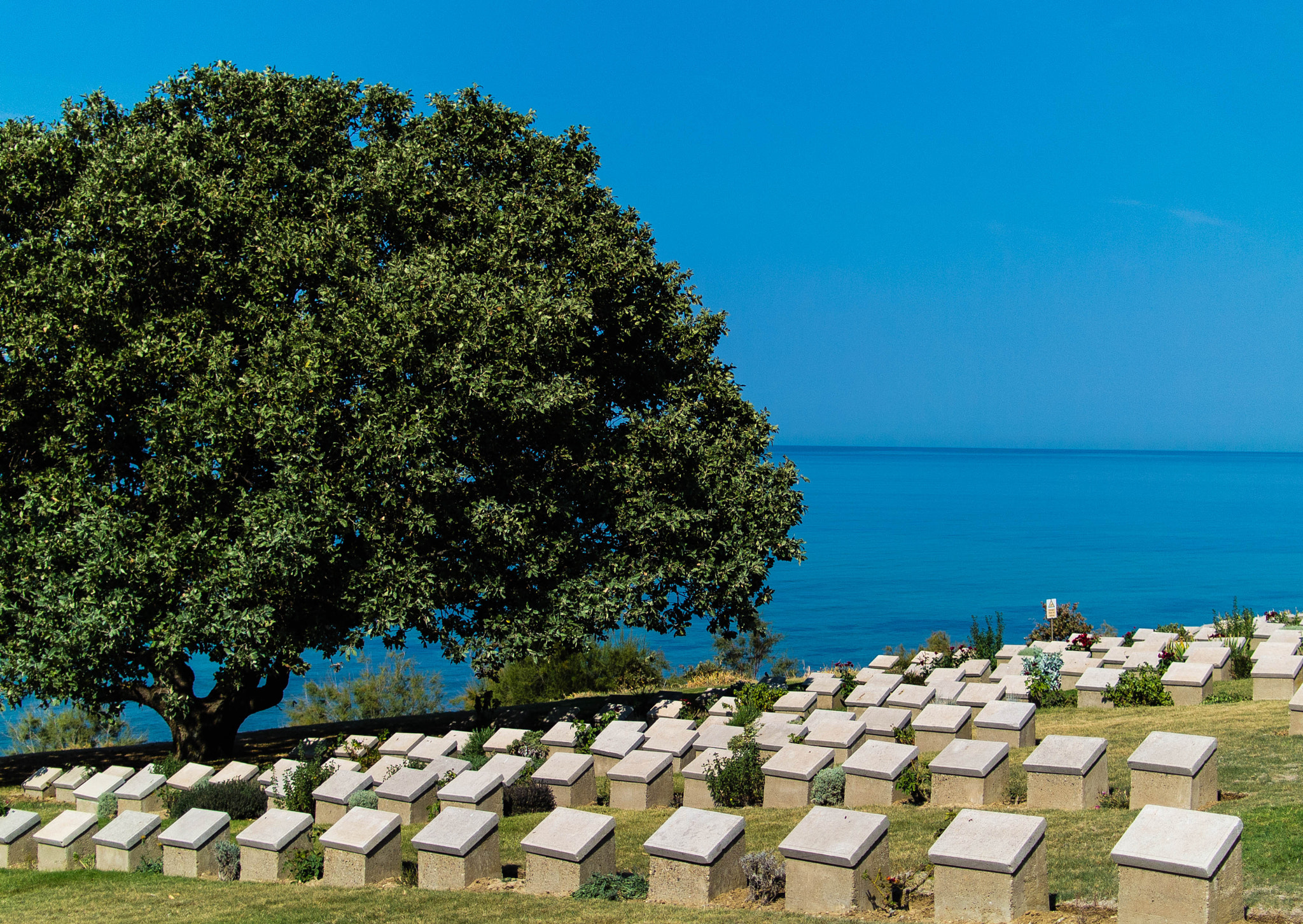 Nikon 1 V1 + Nikon 1 Nikkor 18.5mm F1.8 sample photo. The beach cemetery on anzac cove photography