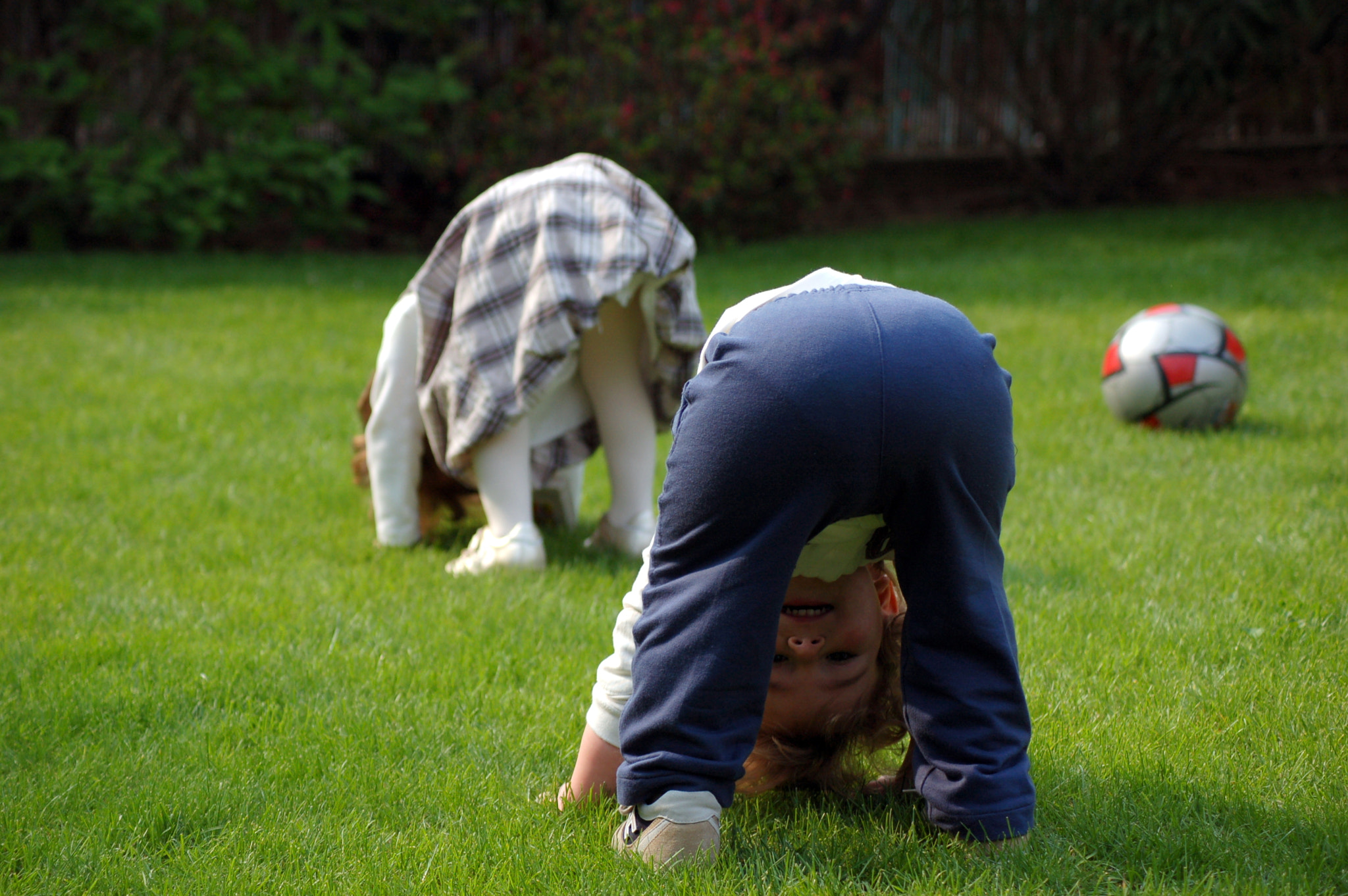 Nikon D50 sample photo. Somersault basics photography