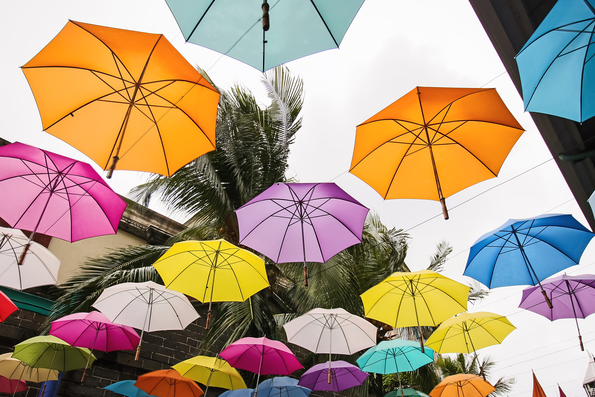 Canon EOS 650D (EOS Rebel T4i / EOS Kiss X6i) sample photo. Umbrella's in town photography