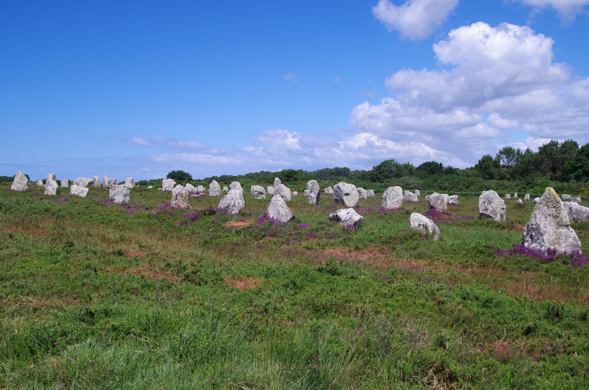 Pentax K-30 sample photo. Alignements de carnac photography