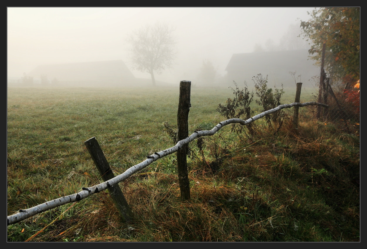 Canon EOS 450D (EOS Rebel XSi / EOS Kiss X2) sample photo. Misty morning photography